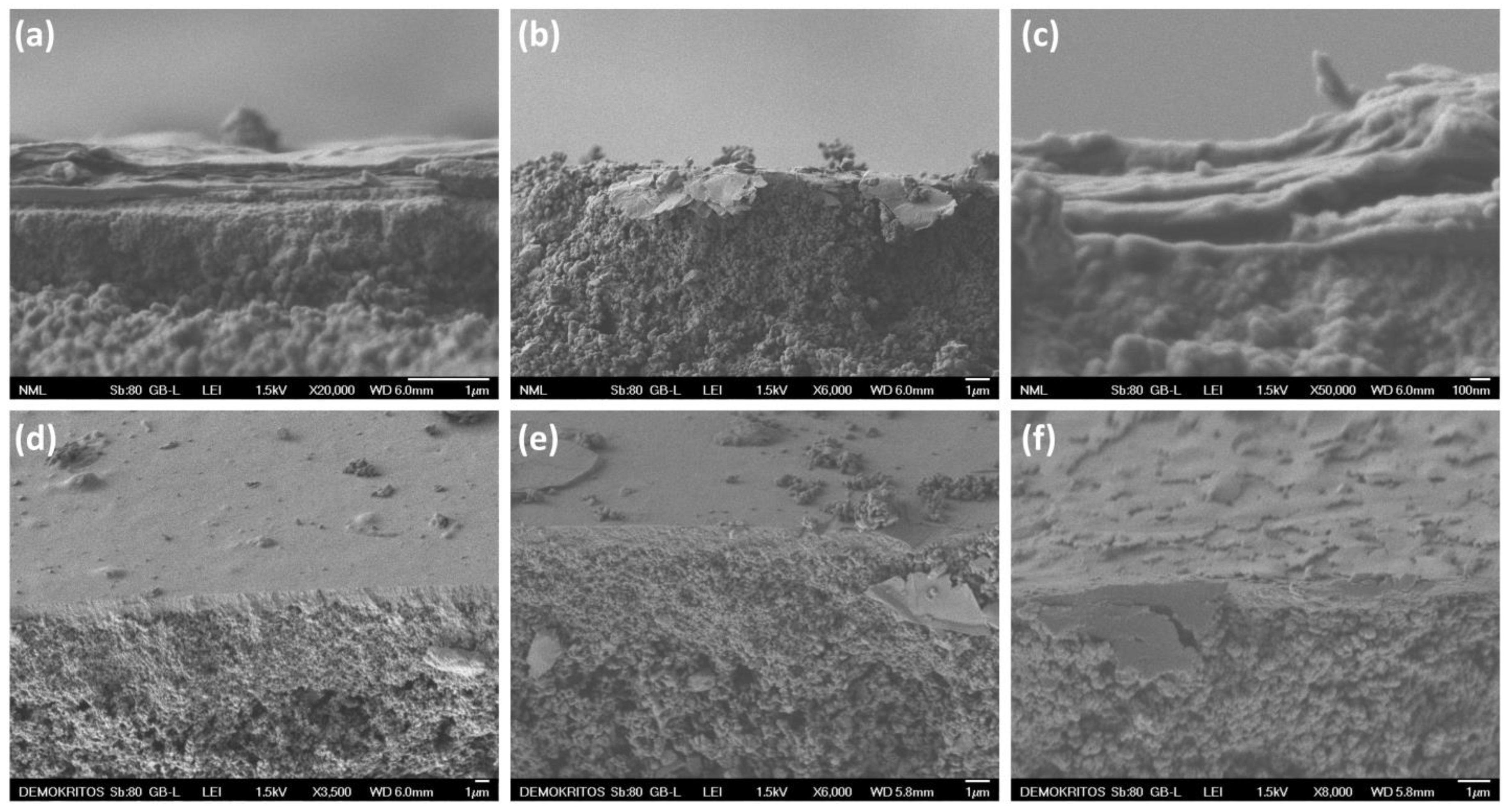 Membranes 13 00627 g003 Membranes 13 00627 g003