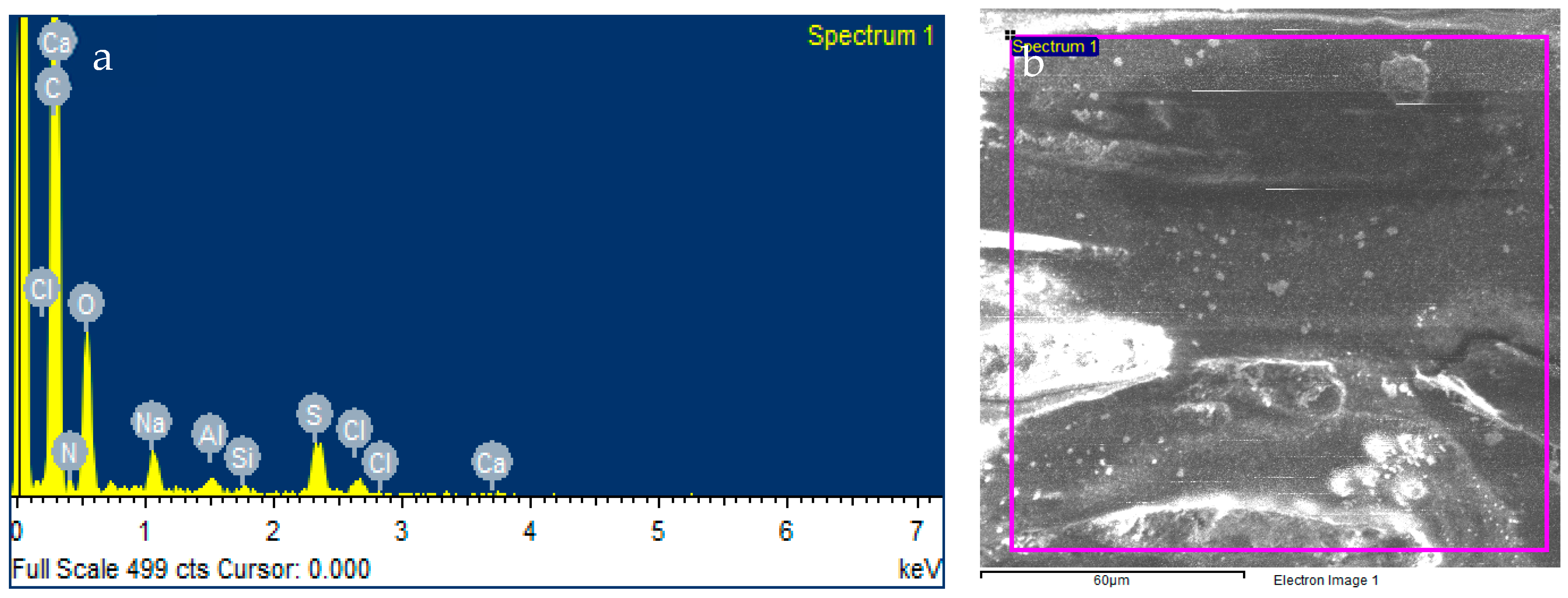 Membranes 13 00628 g009 Membranes 13 00628 g009