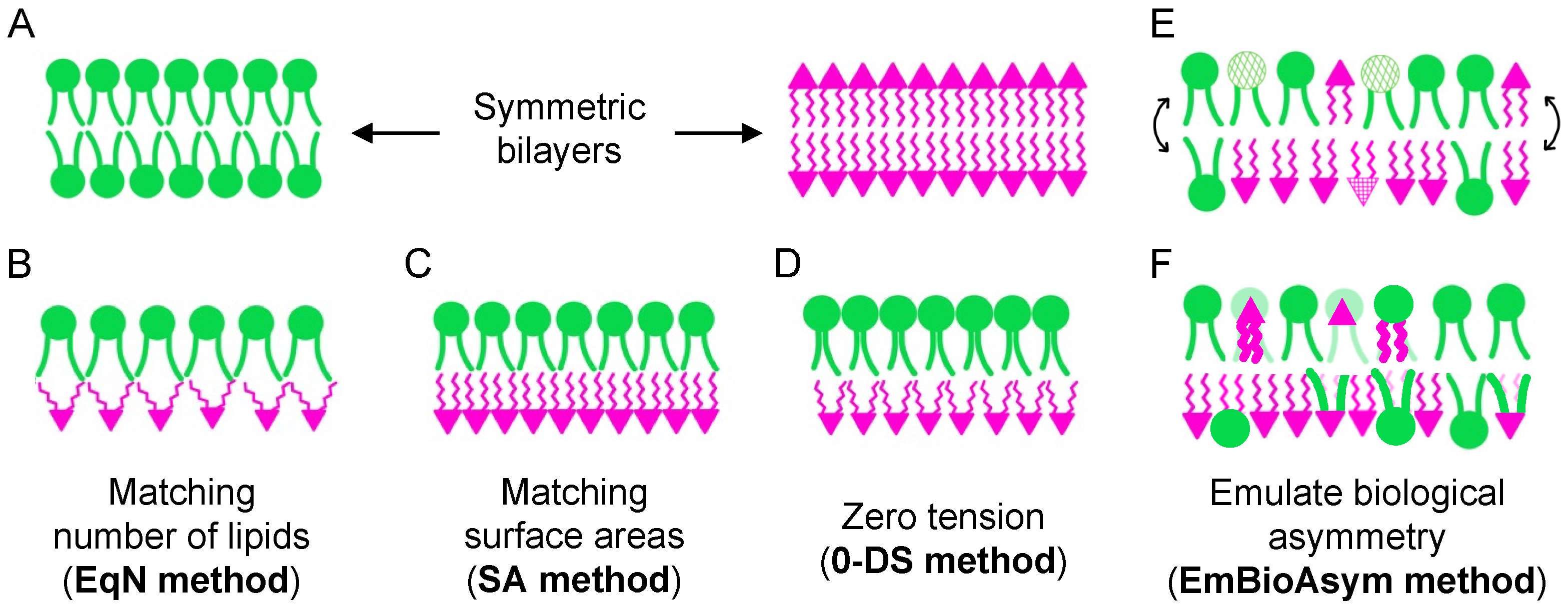 Membranes 13 00629 g003