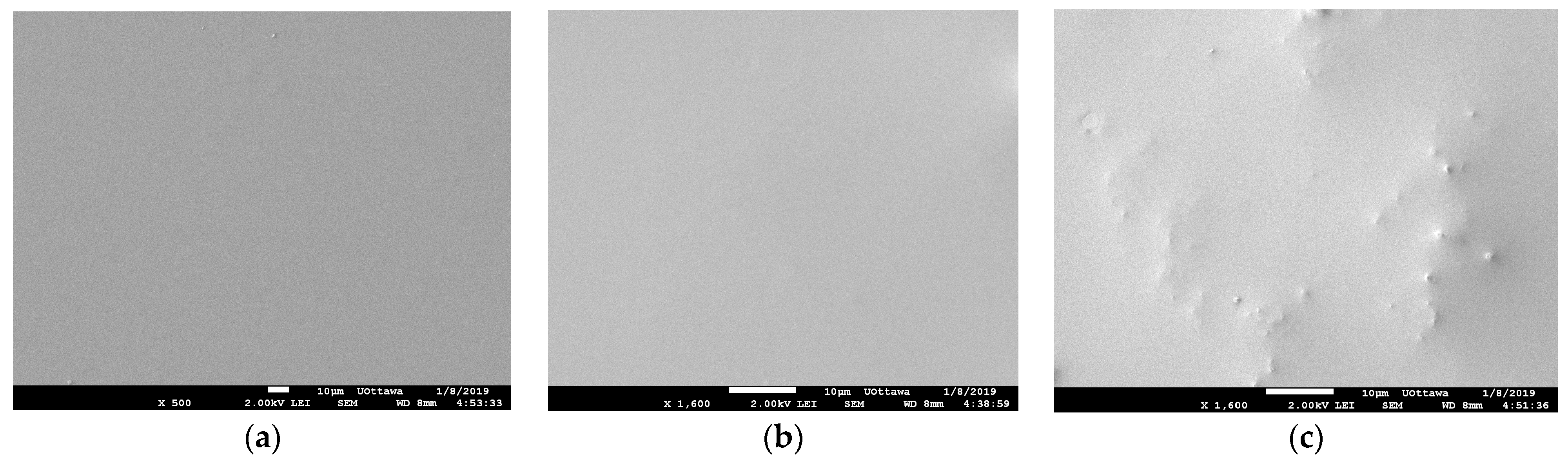 Membranes 13 00632 g004 Membranes 13 00632 g004