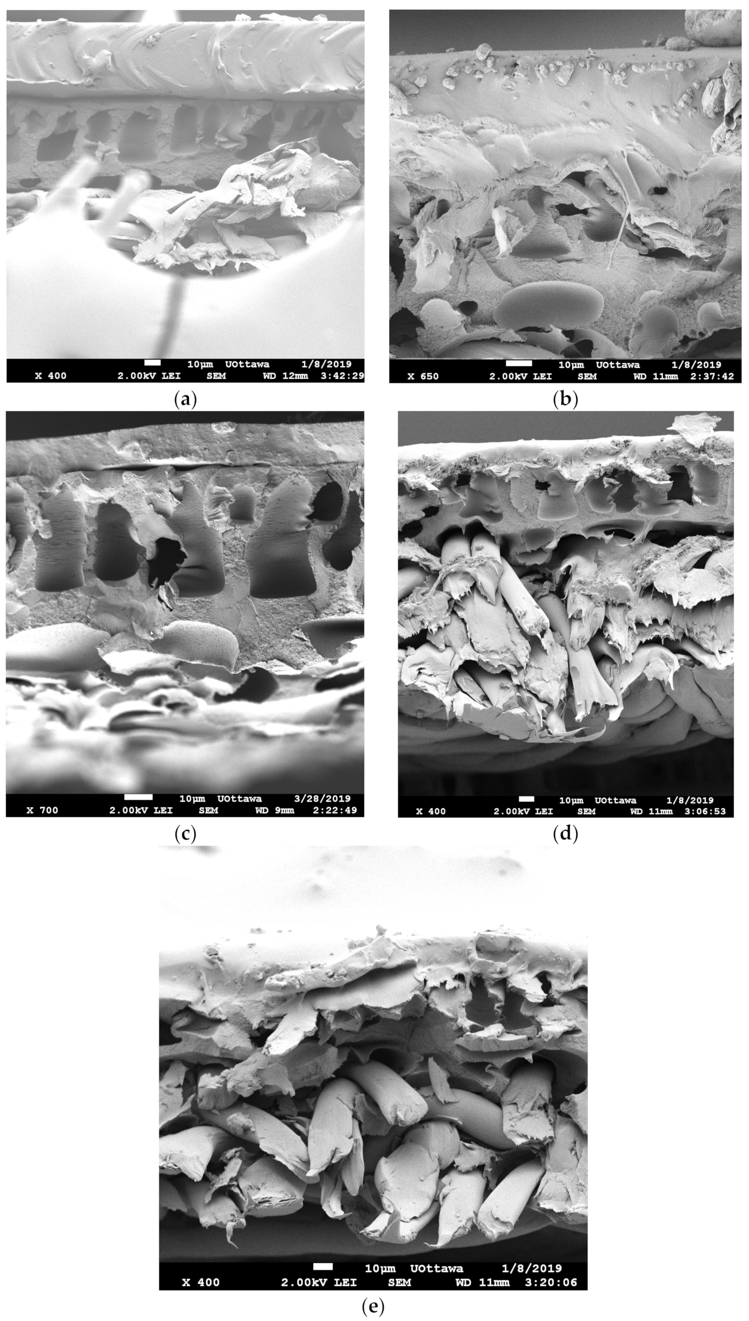 Membranes 13 00632 g005 Membranes 13 00632 g005