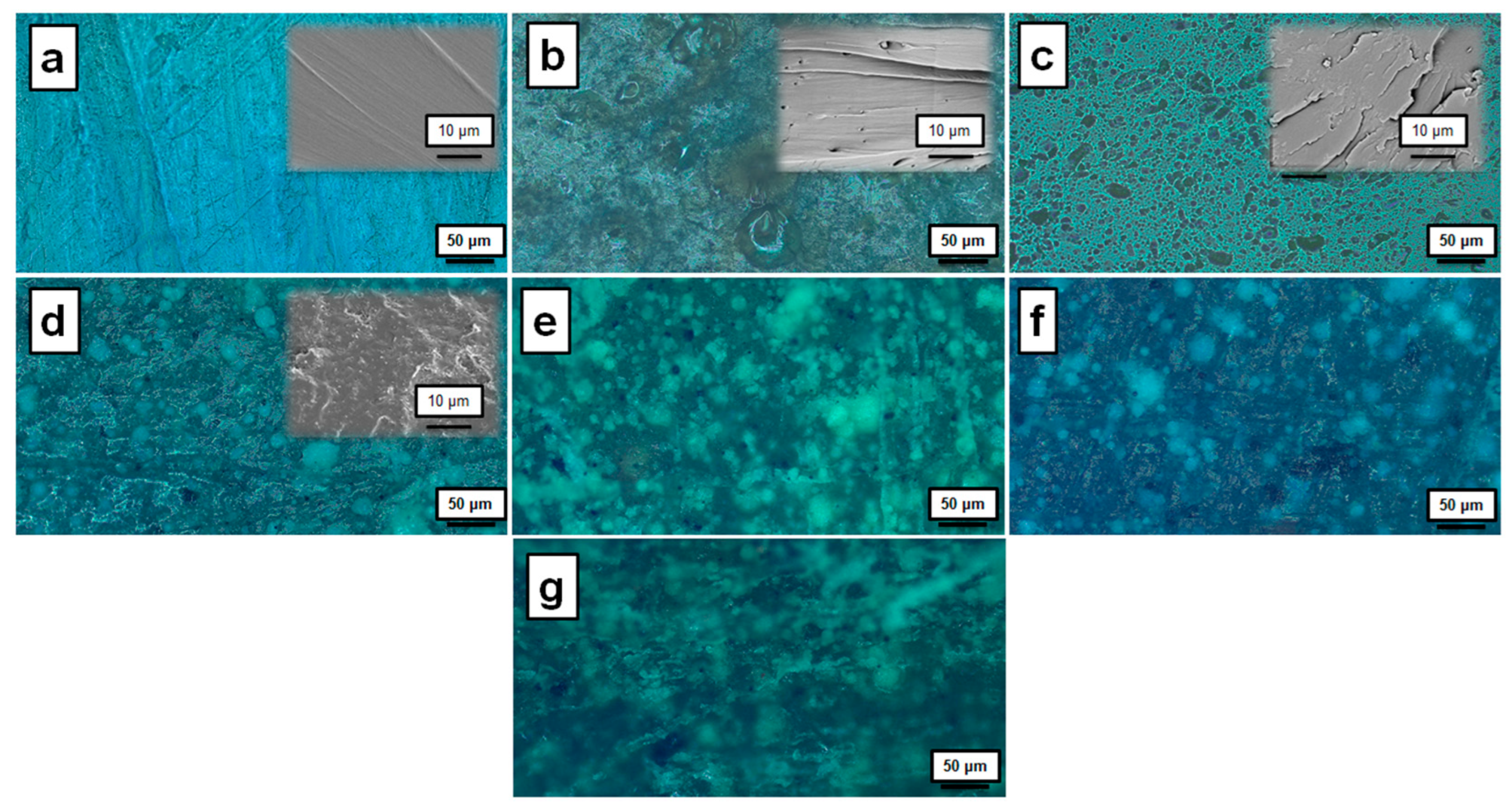 Membranes 13 00636 g003