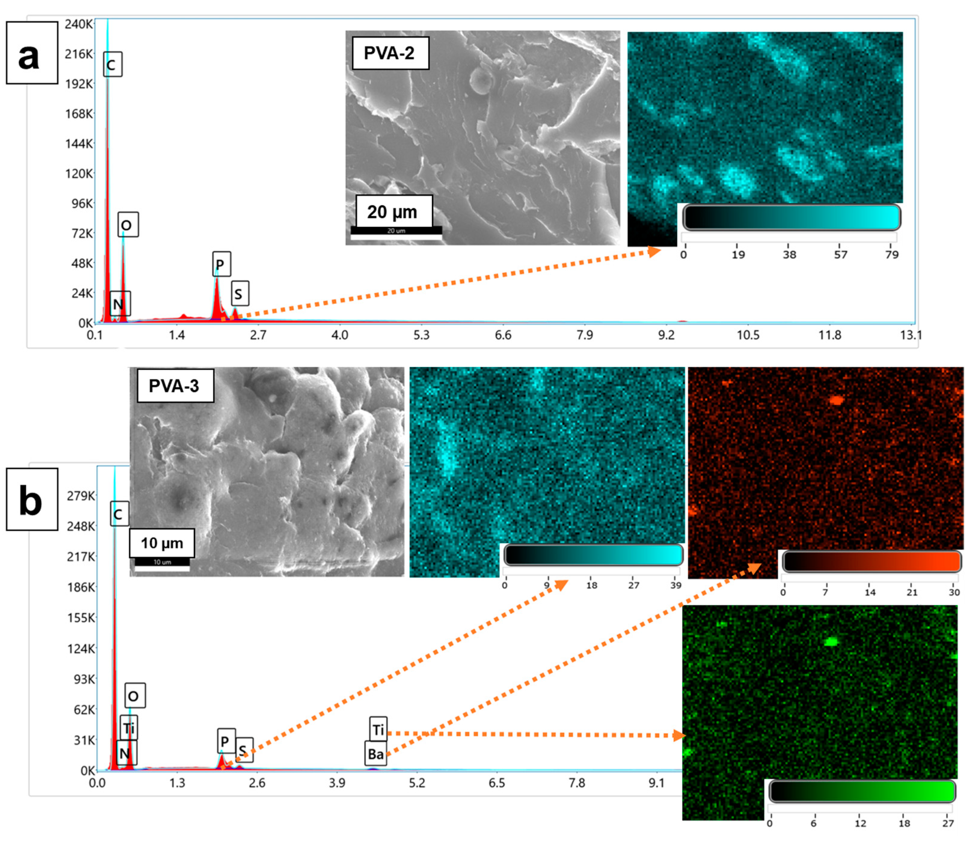 Membranes 13 00636 g004