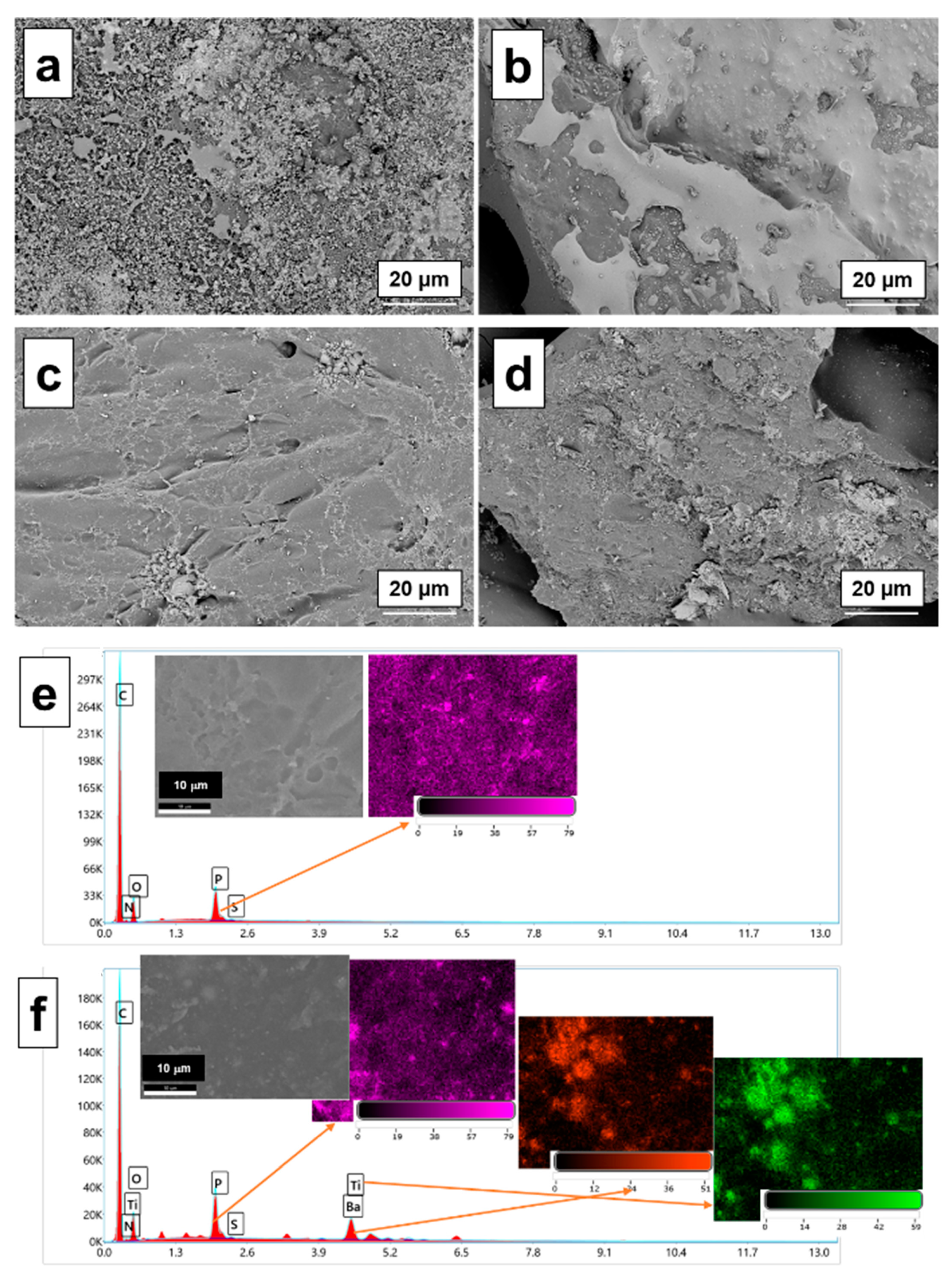 Membranes 13 00636 g006