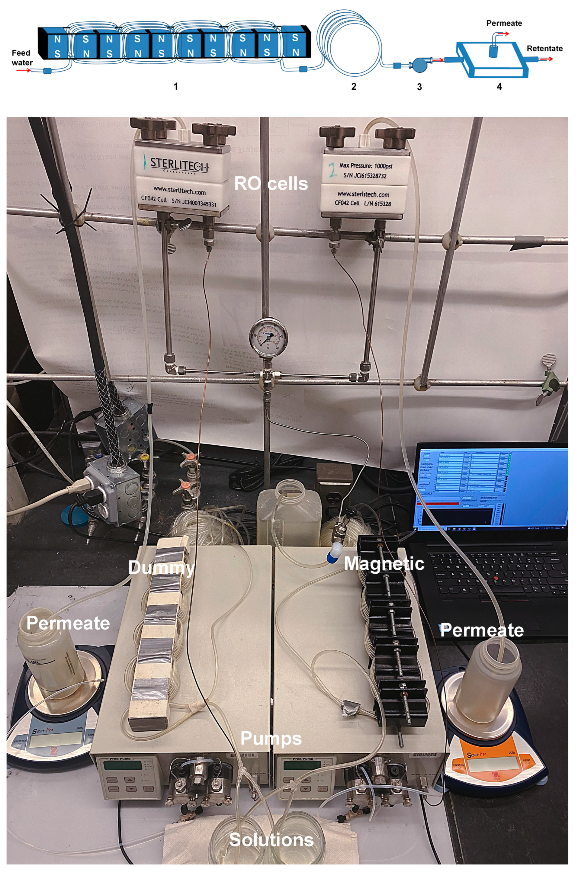 Membranes 13 00641 g002