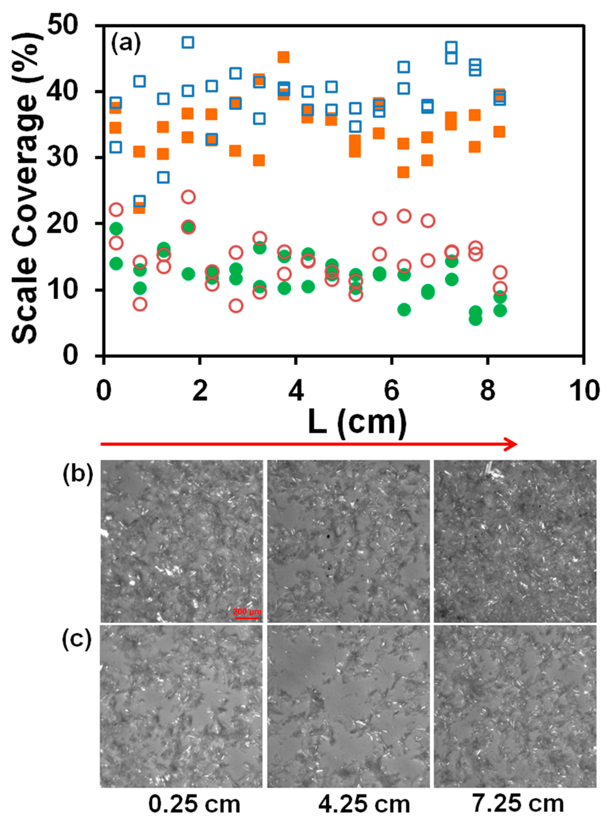 Membranes 13 00641 g005