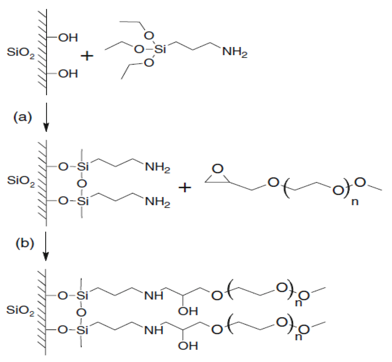 Membranes 13 00642 g002 Membranes 13 00642 g002