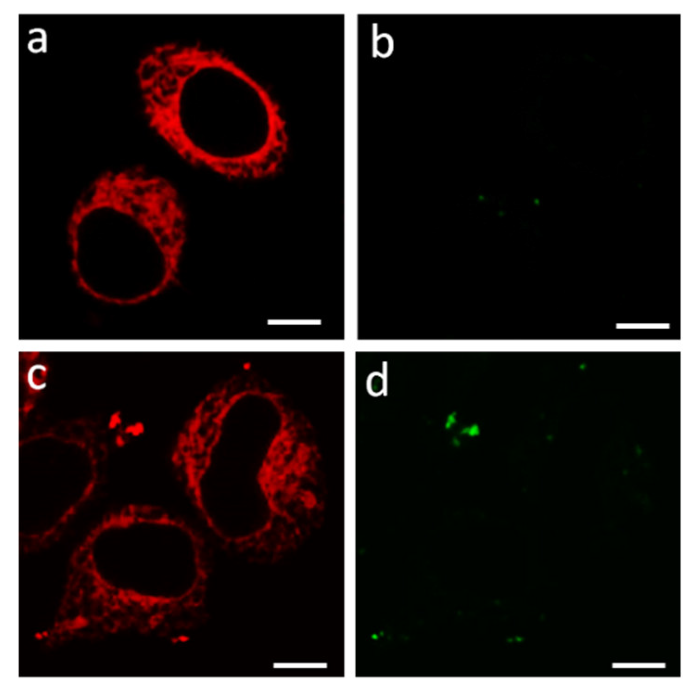 Membranes 13 00645 g001 Membranes 13 00645 g001