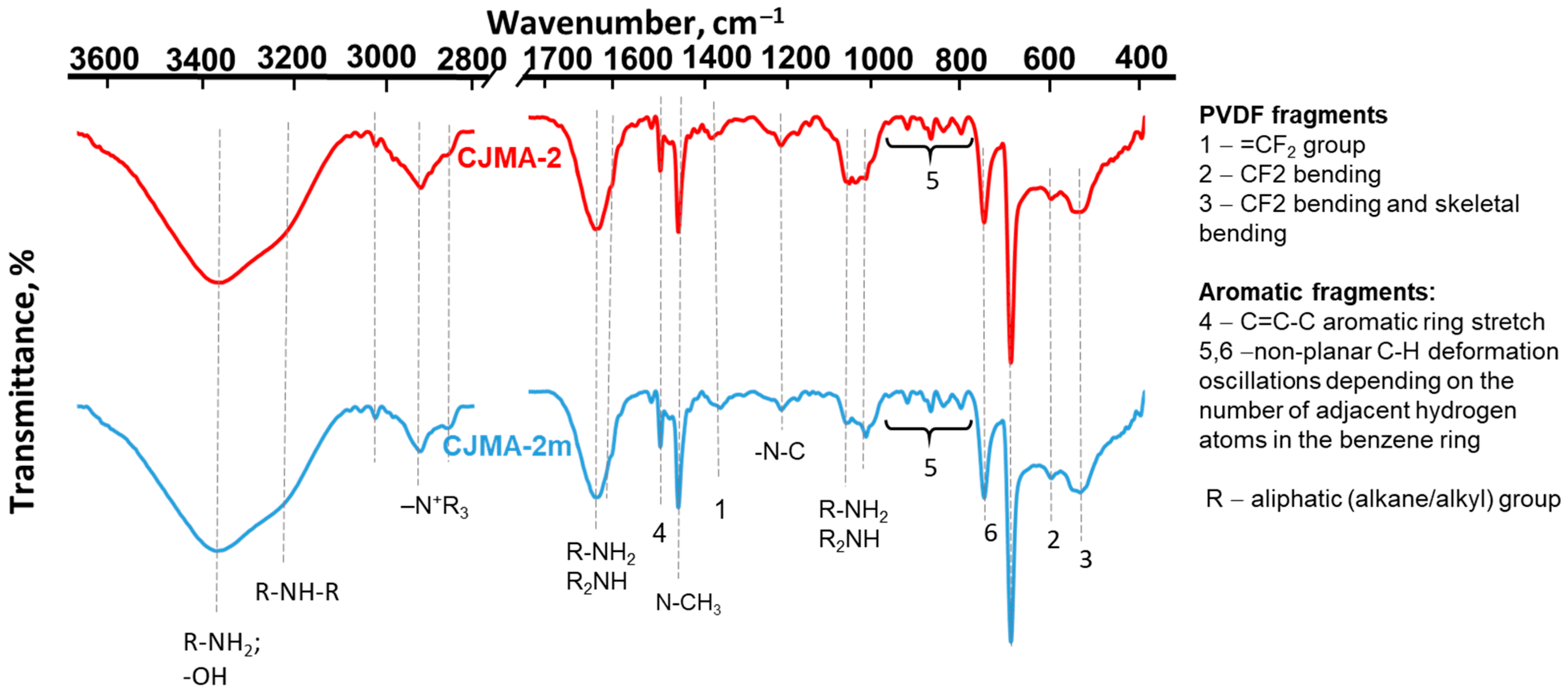 Membranes 13 00647 g003 Membranes 13 00647 g003