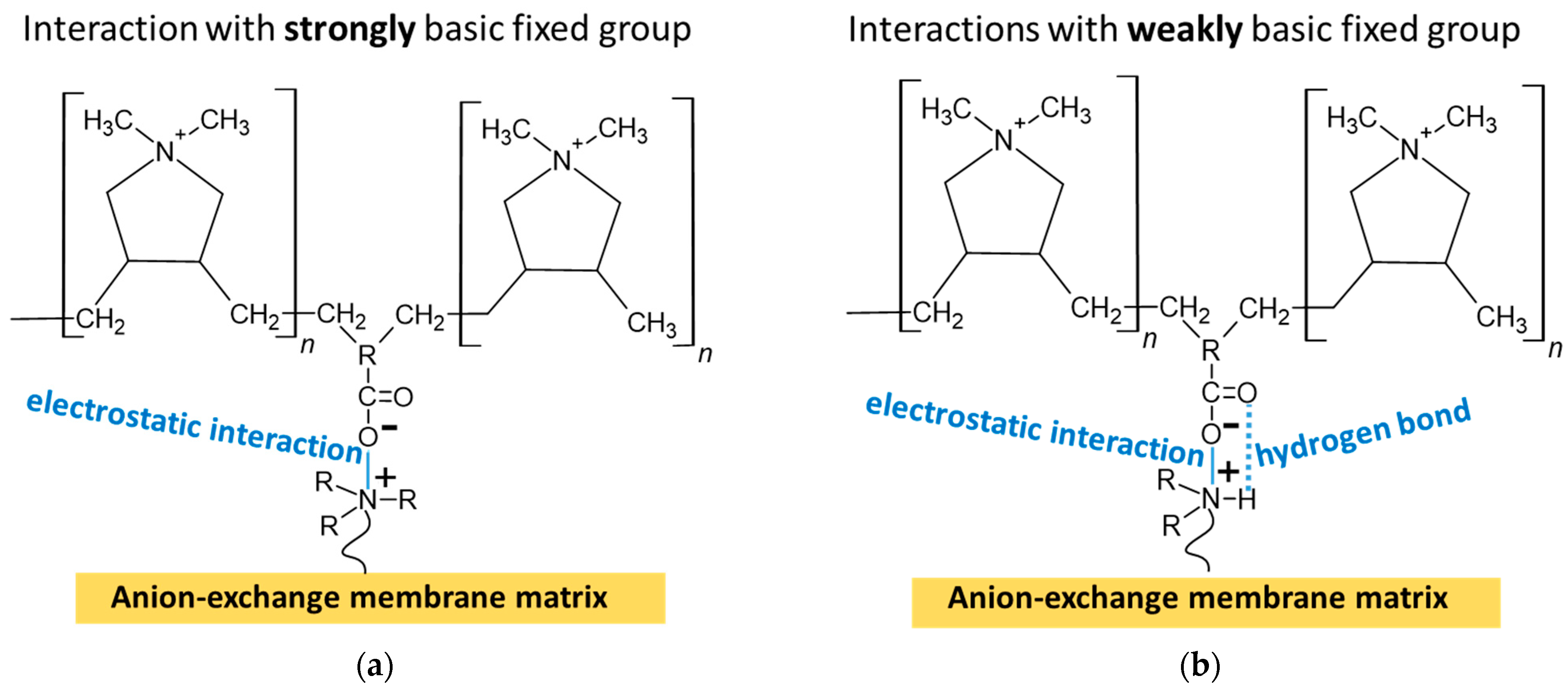 Membranes 13 00647 g004 Membranes 13 00647 g004