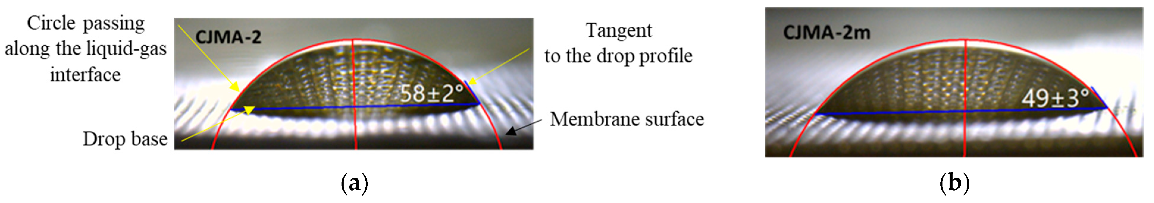 Membranes 13 00647 g006 Membranes 13 00647 g006