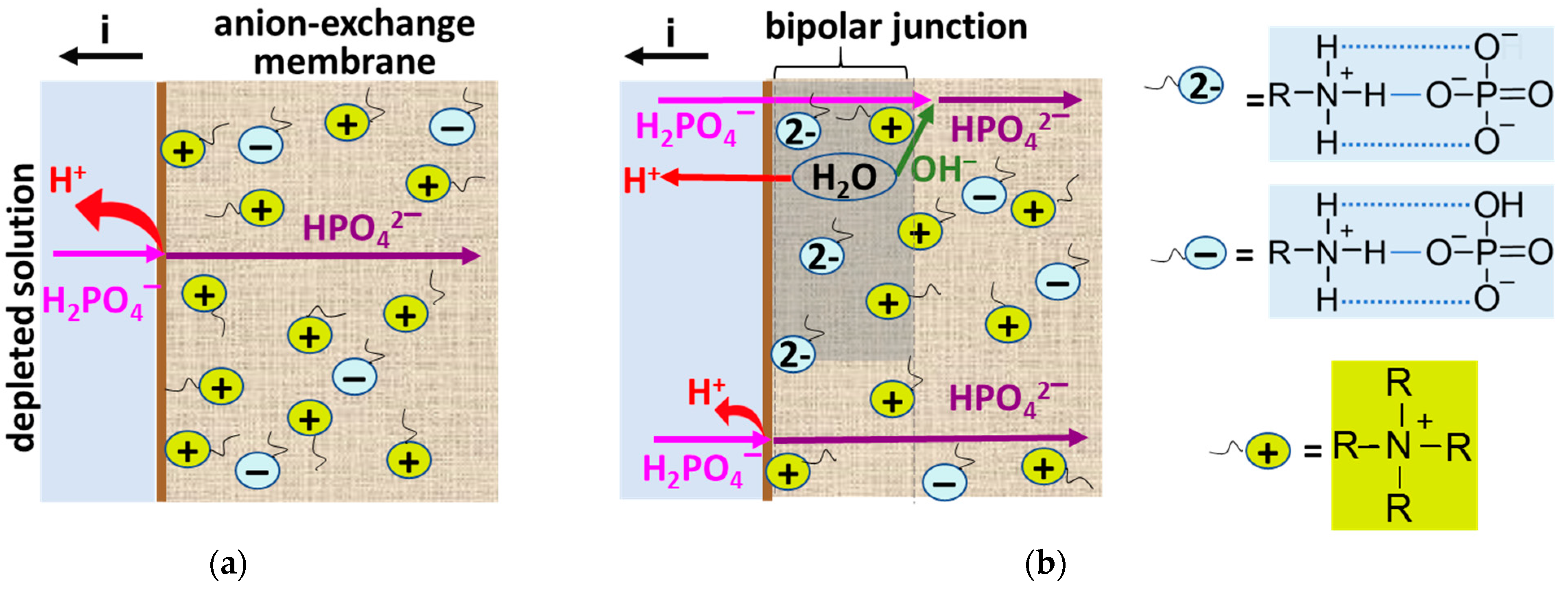 Membranes 13 00647 g013 Membranes 13 00647 g013