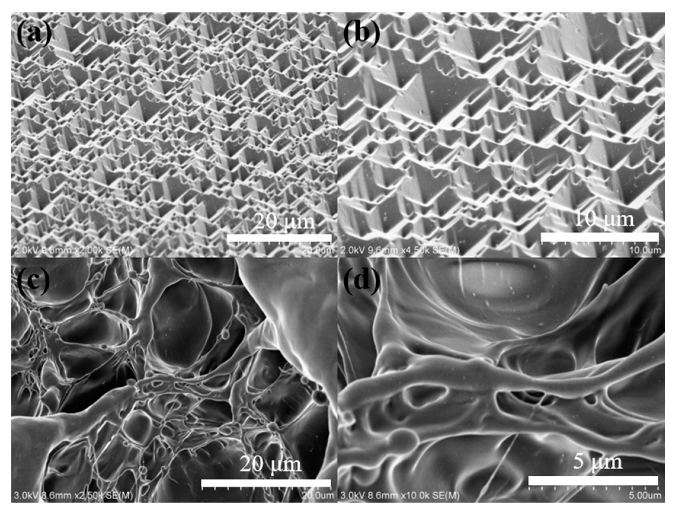 Membranes 13 00648 g002 Membranes 13 00648 g002