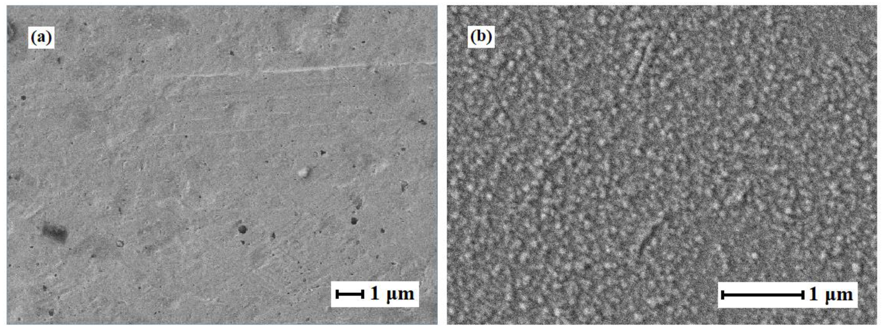 Membranes 13 00649 g002 Membranes 13 00649 g002