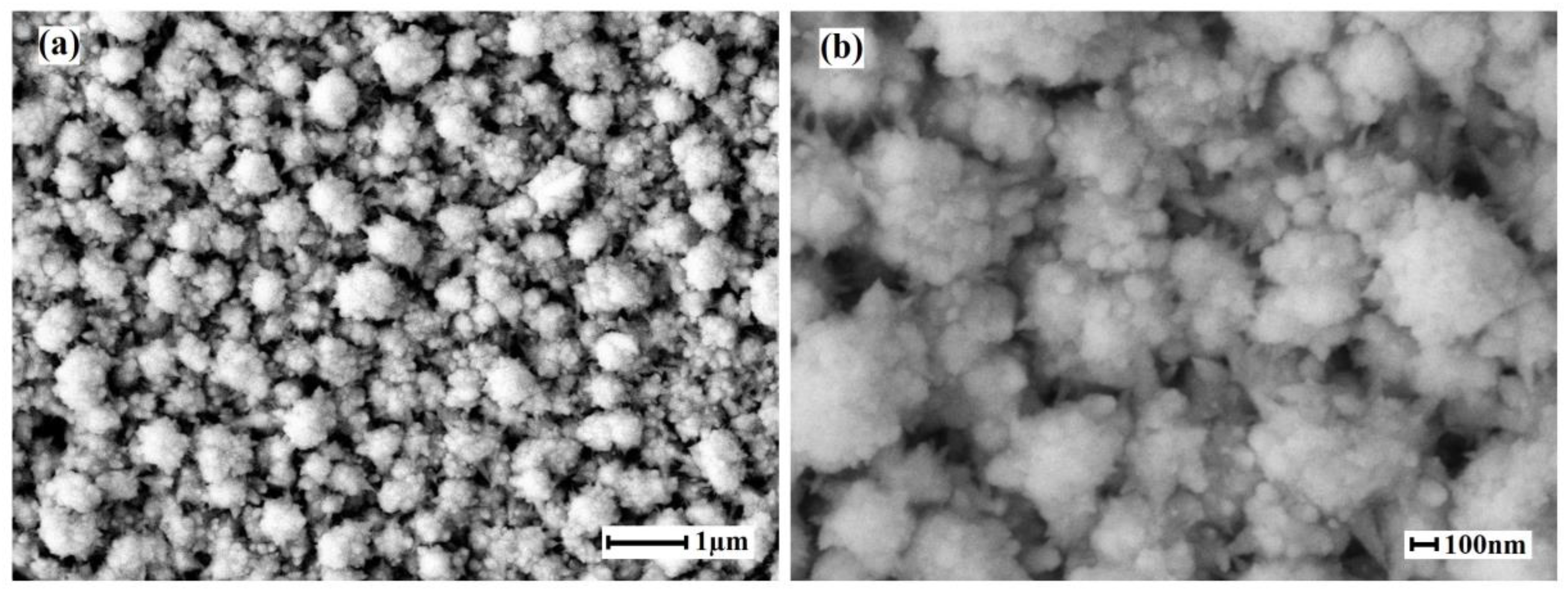 Membranes 13 00649 g003 Membranes 13 00649 g003