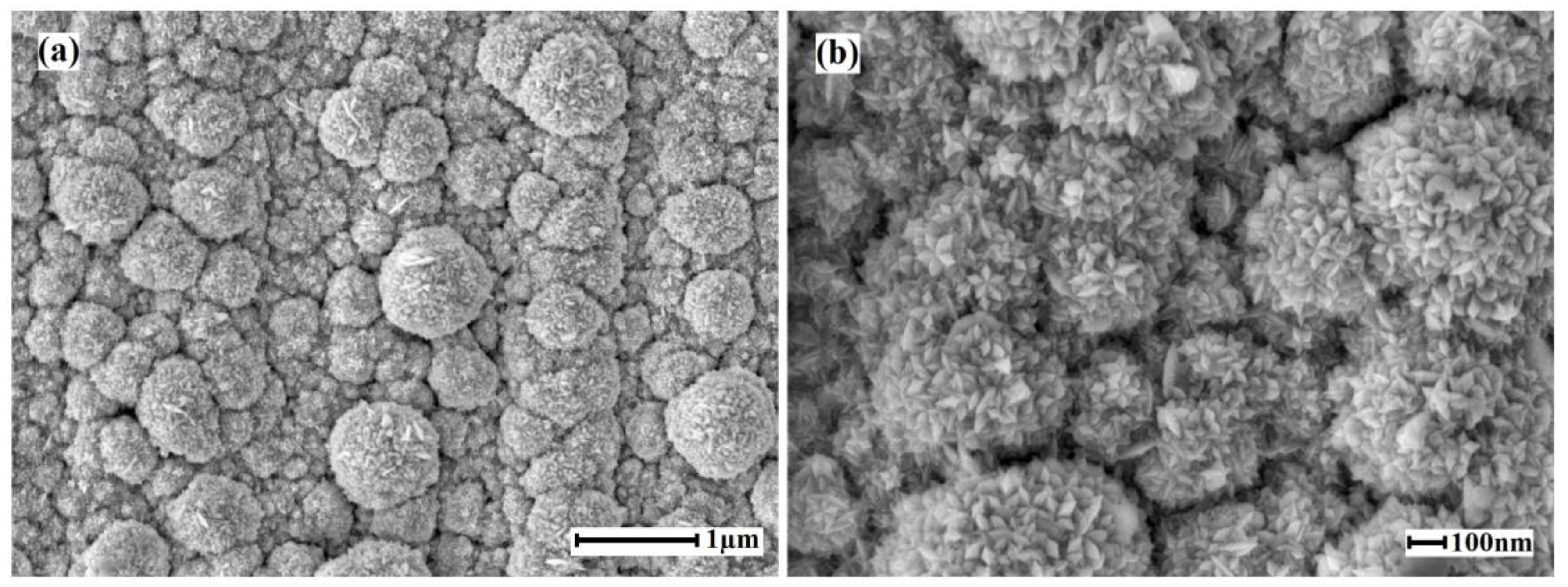Membranes 13 00649 g004 Membranes 13 00649 g004