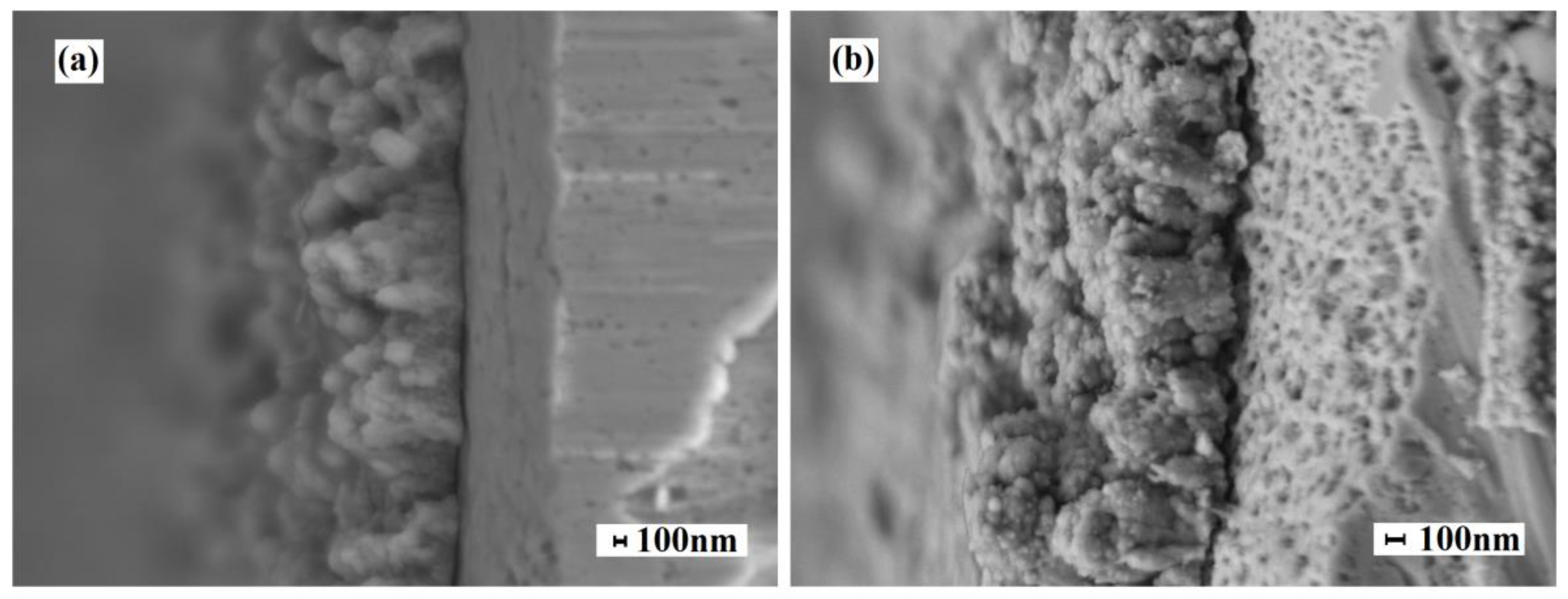 Membranes 13 00649 g005 Membranes 13 00649 g005