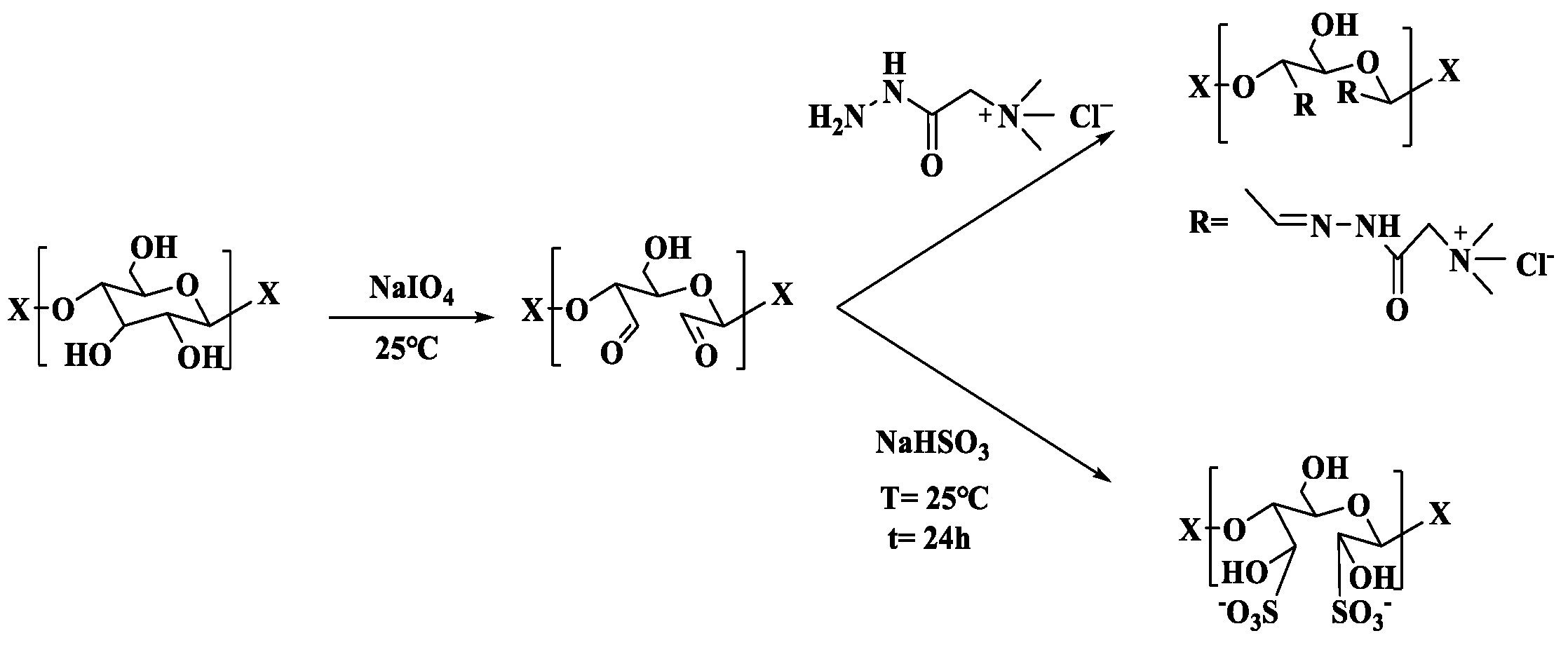 Membranes 13 00651 g001