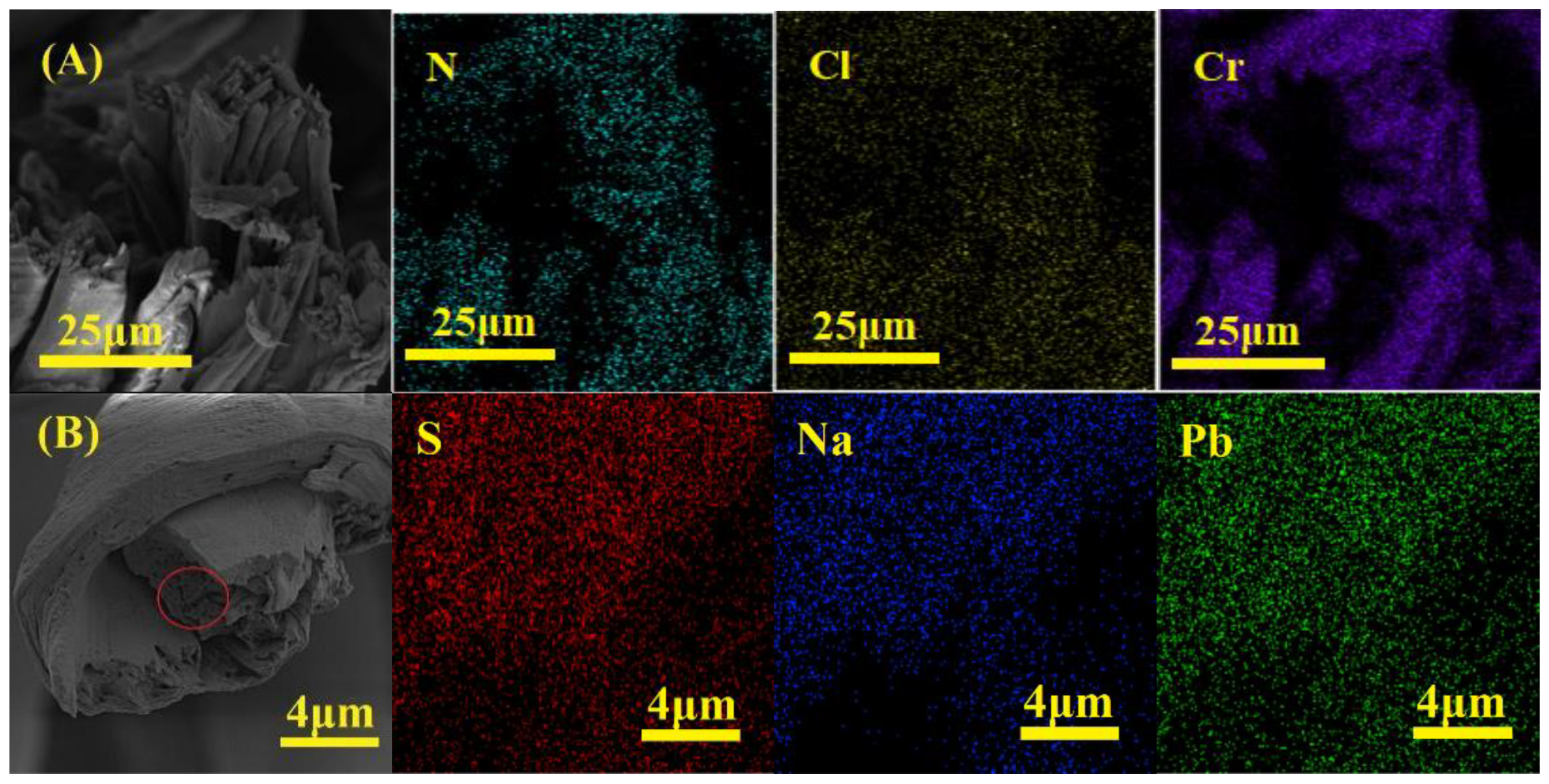 Membranes 13 00651 g017