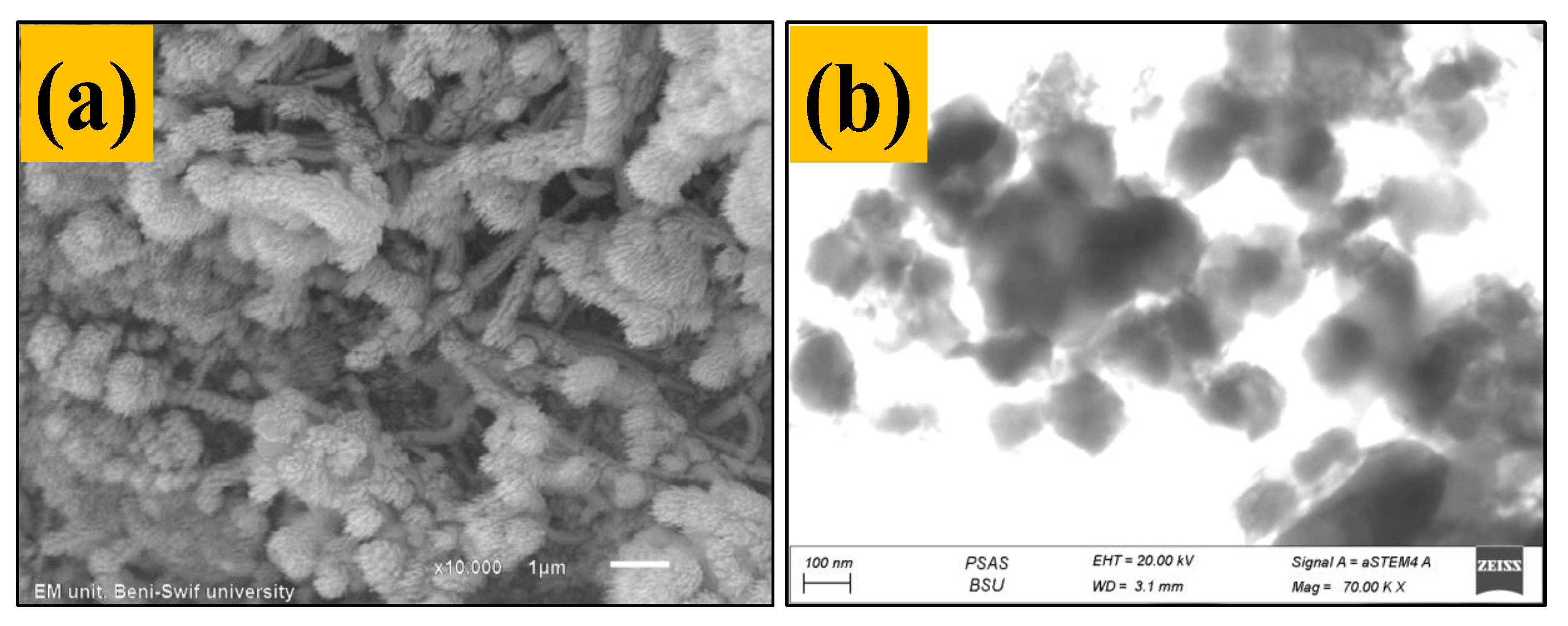 Membranes 13 00654 g002