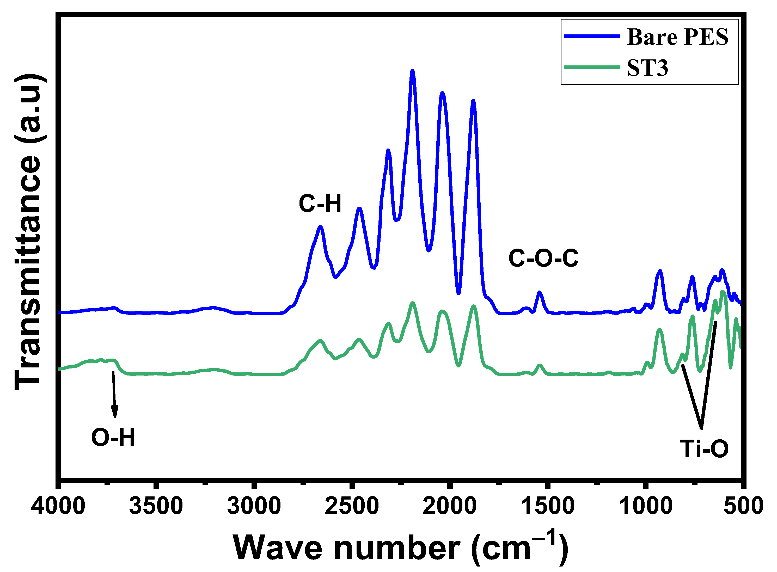 Membranes 13 00654 g003