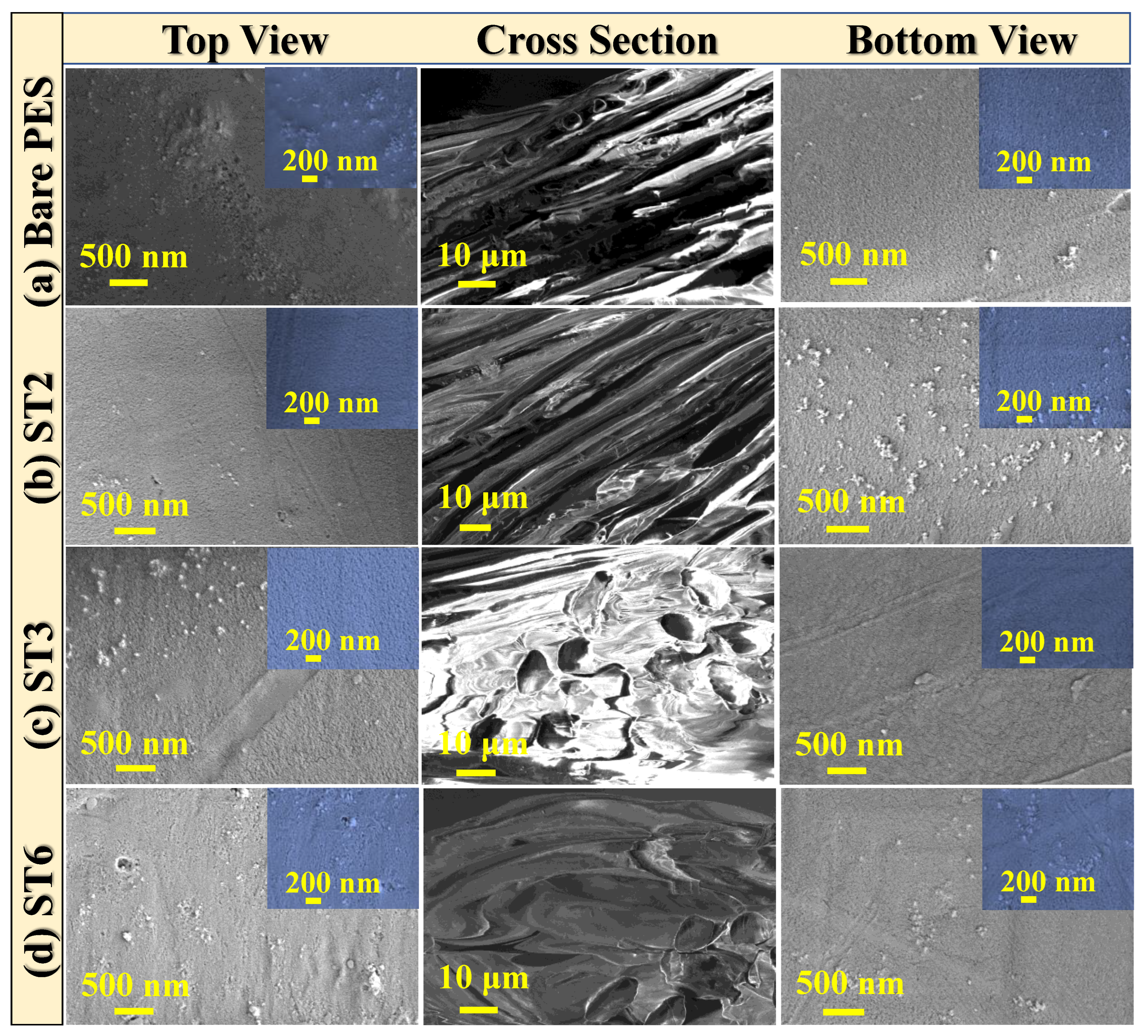 Membranes 13 00654 g004