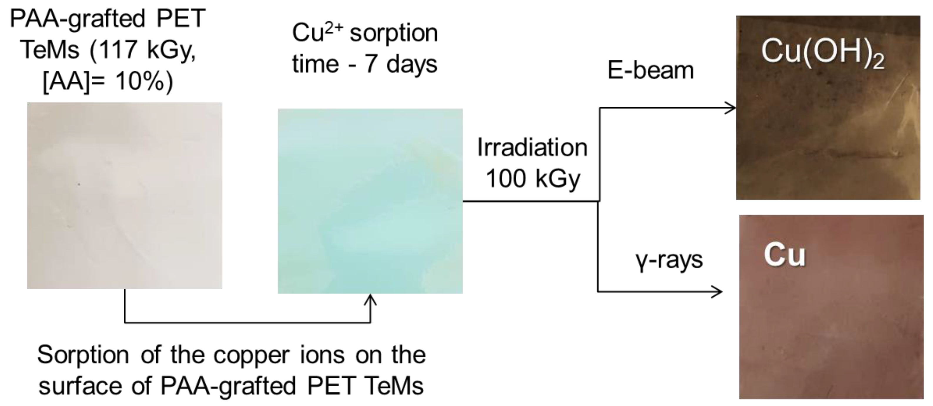 Membranes 13 00659 g005 Membranes 13 00659 g005