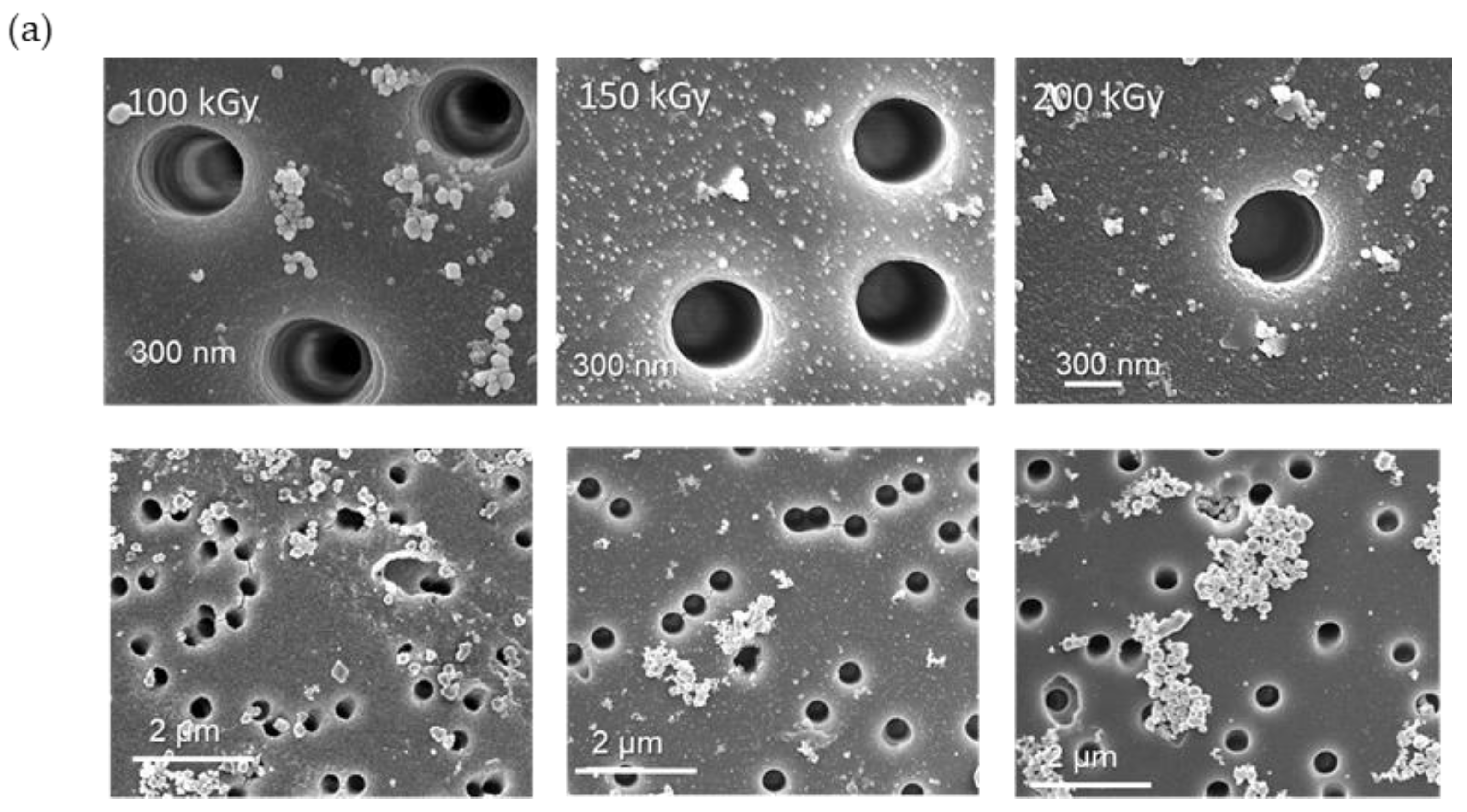 Membranes 13 00659 g007a Membranes 13 00659 g007a