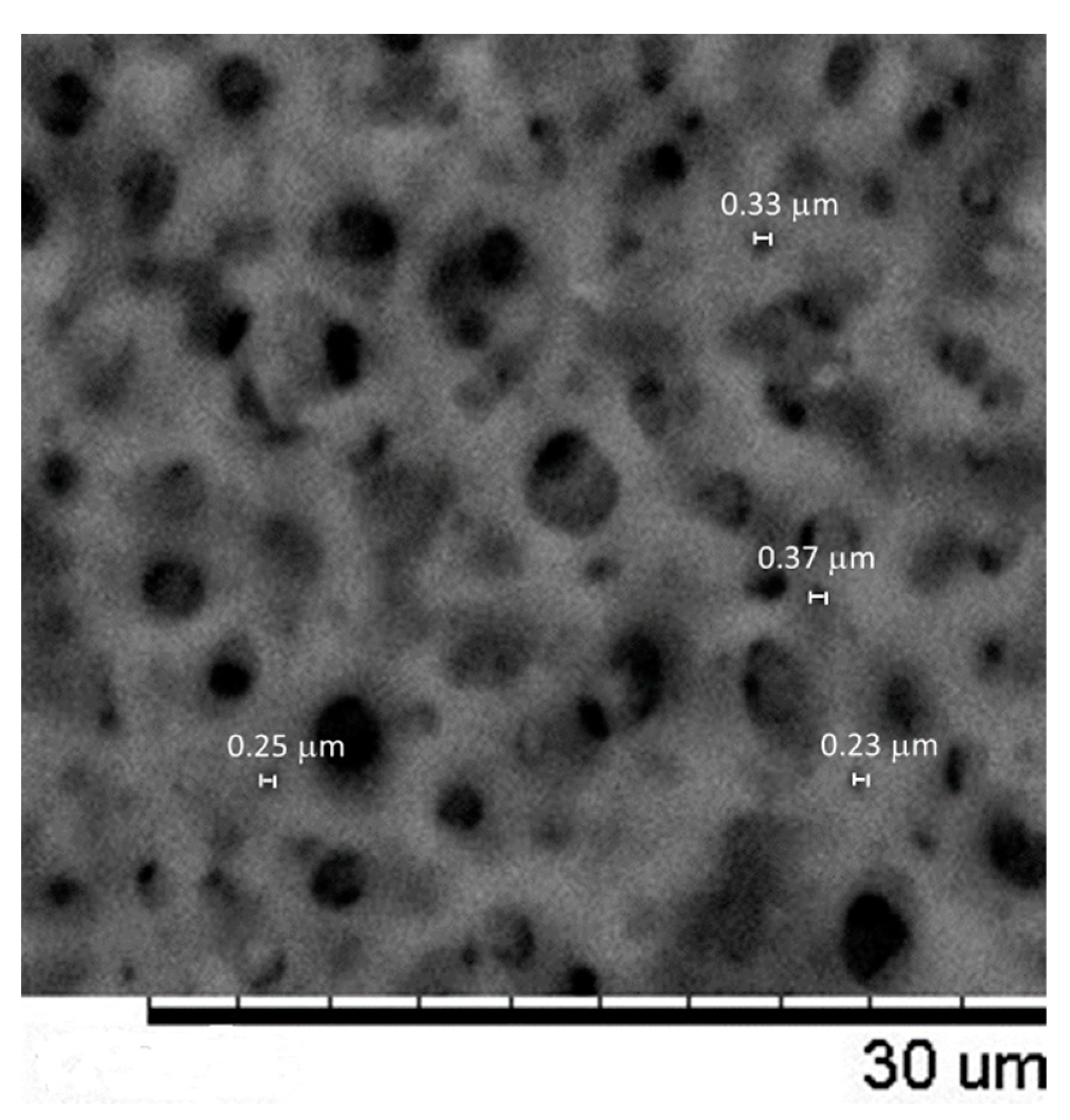Membranes 13 00660 g010