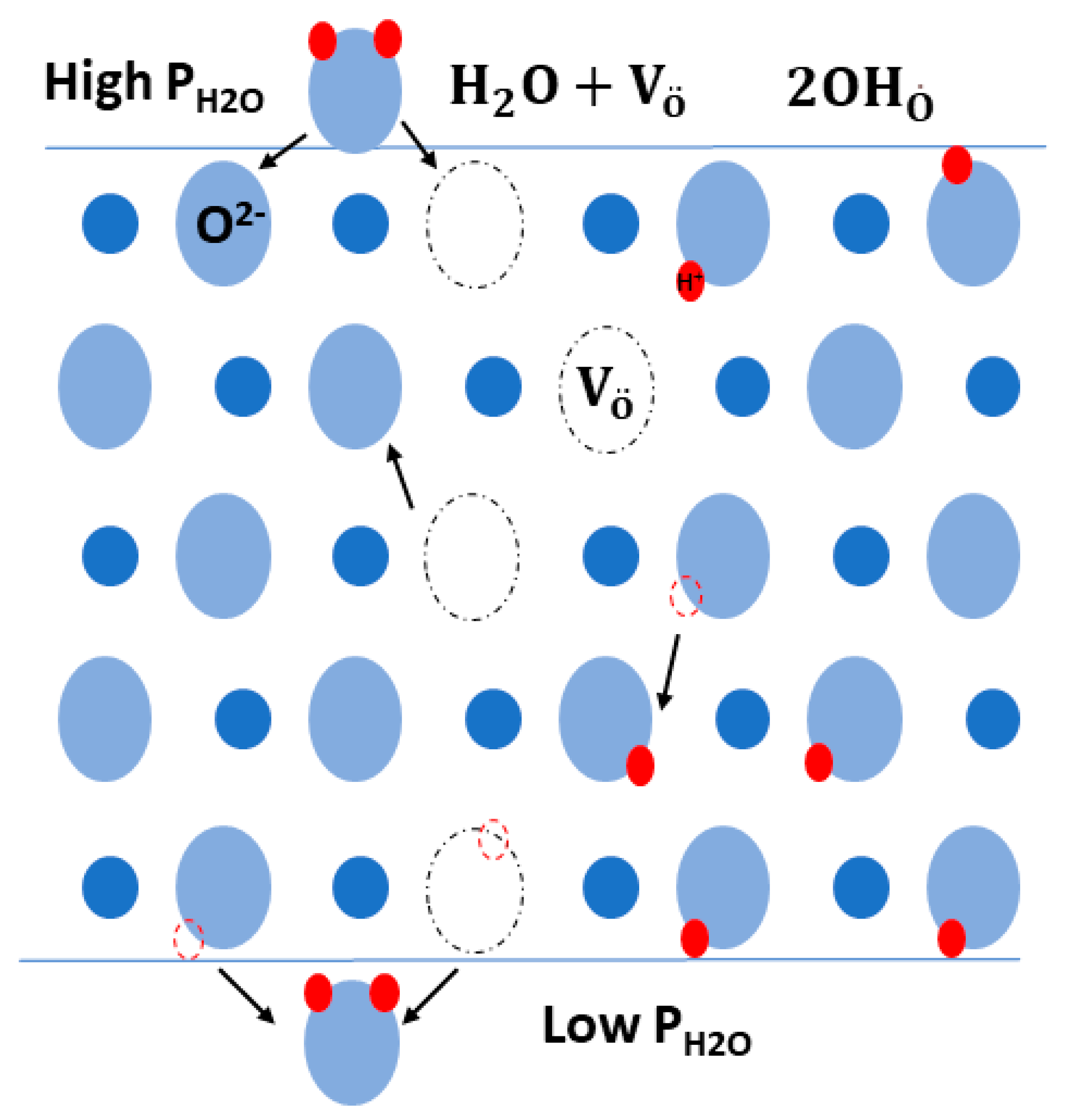 Membranes 13 00661 g003