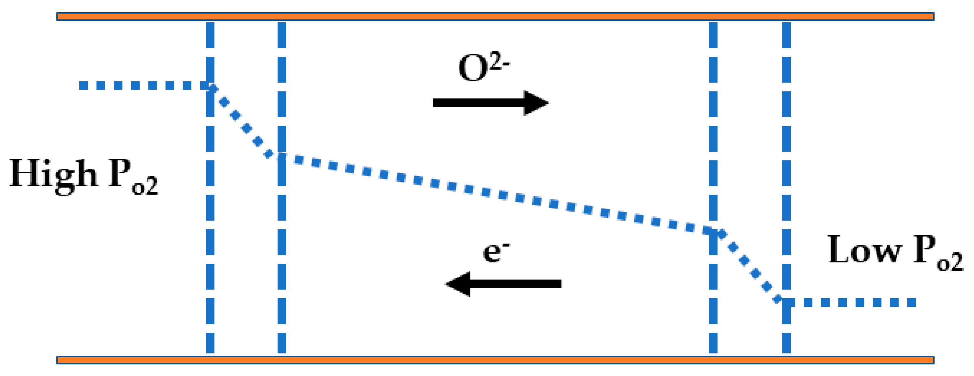 Membranes 13 00661 g004