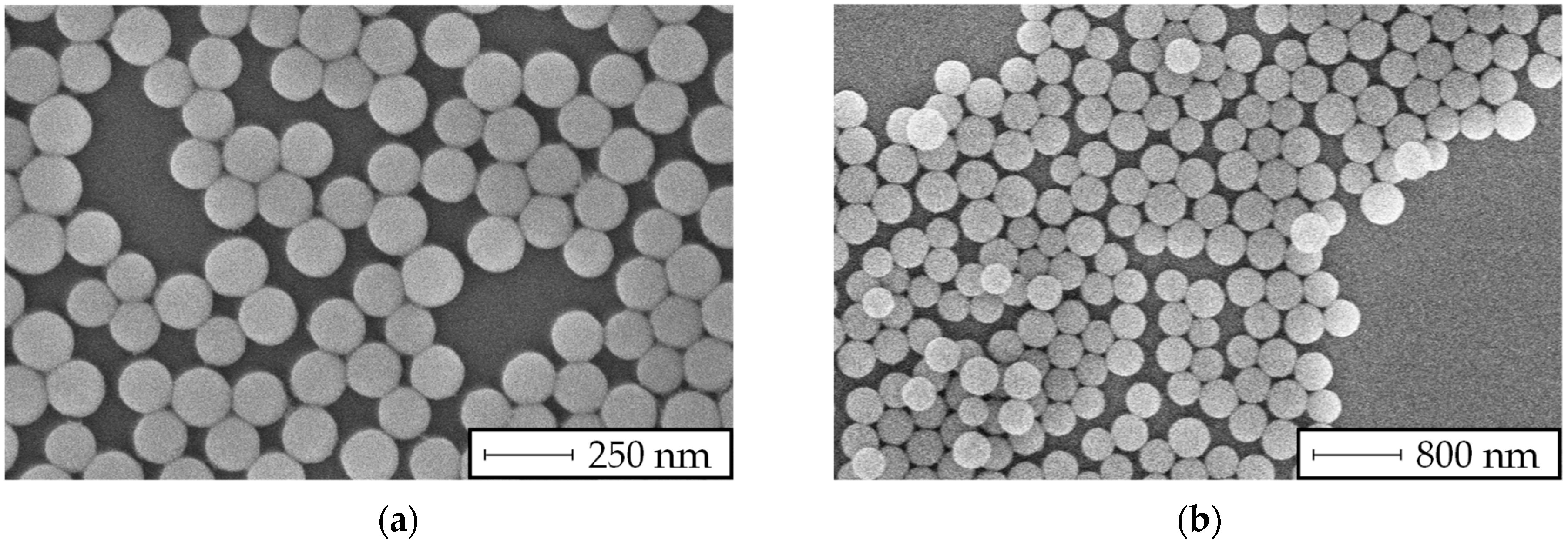 Membranes 13 00664 g004 Membranes 13 00664 g004