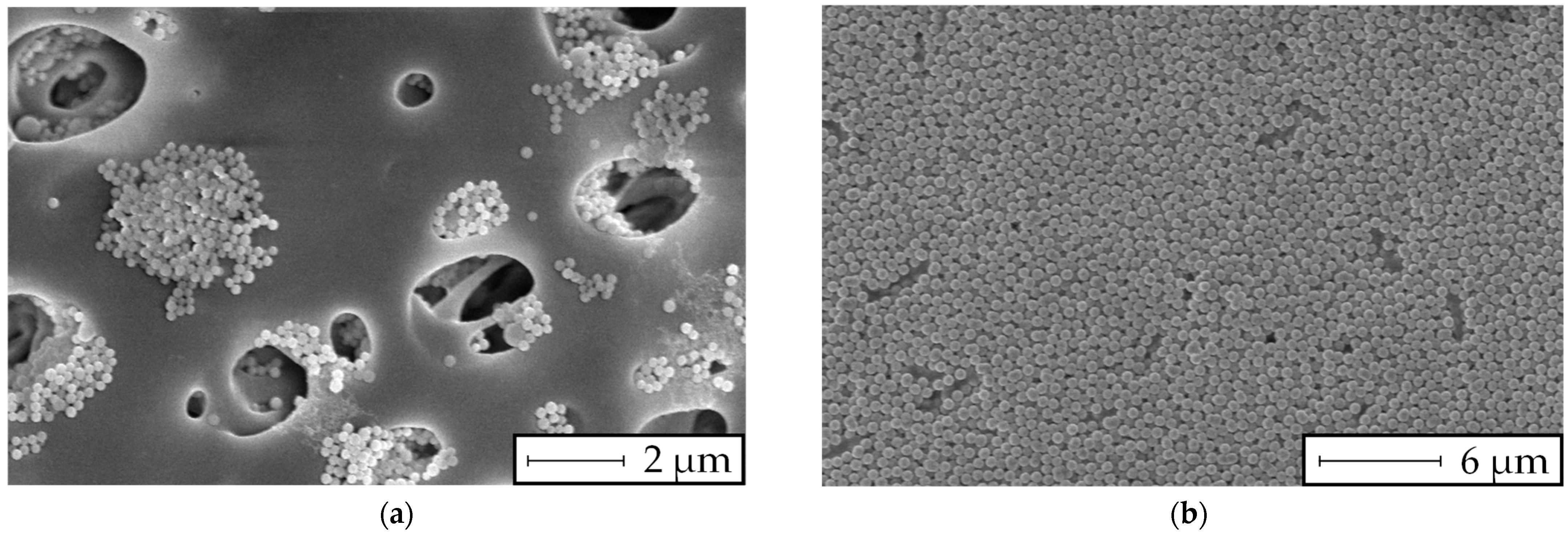 Membranes 13 00664 g010 Membranes 13 00664 g010