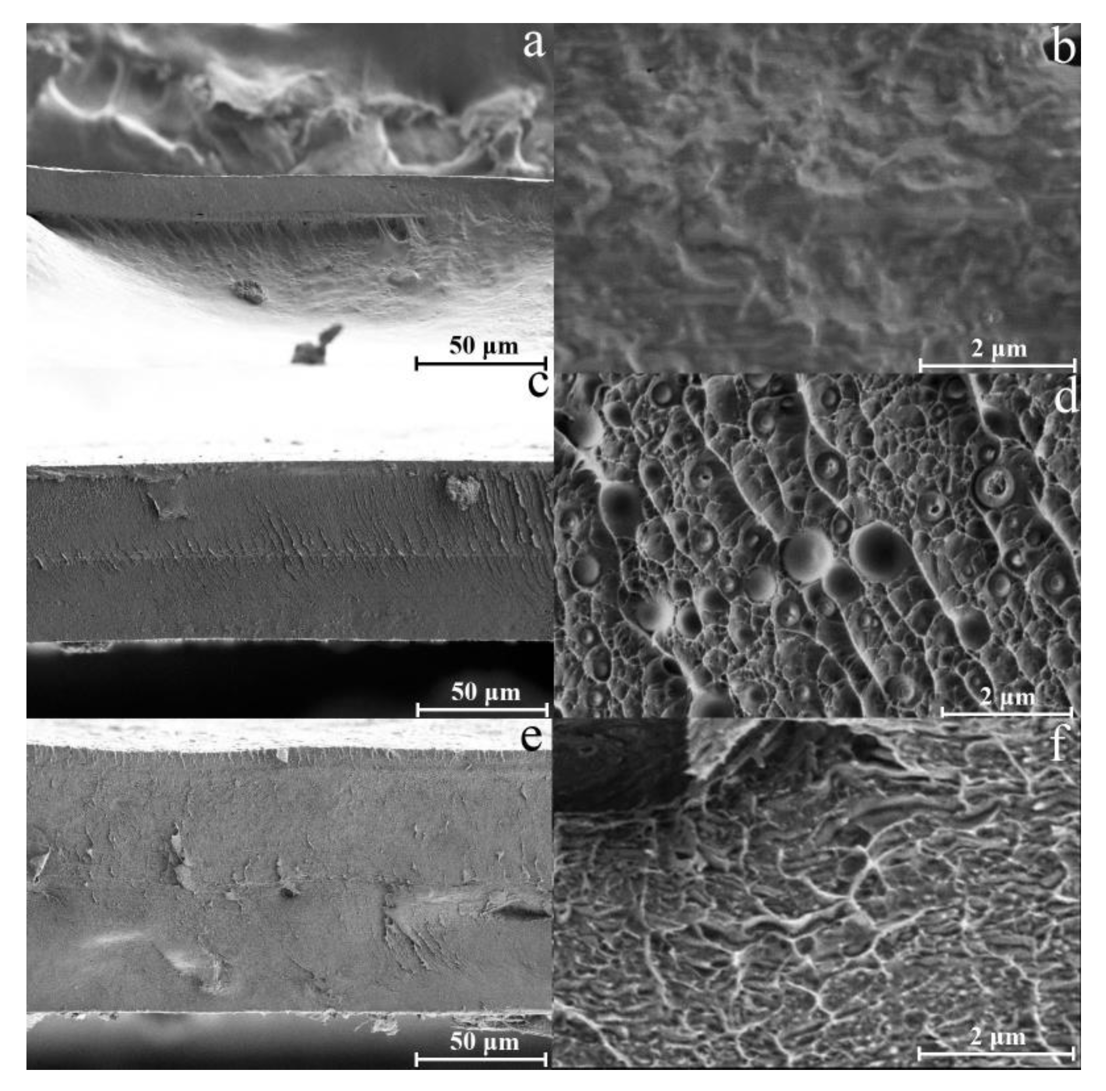 Membranes 13 00667 g006