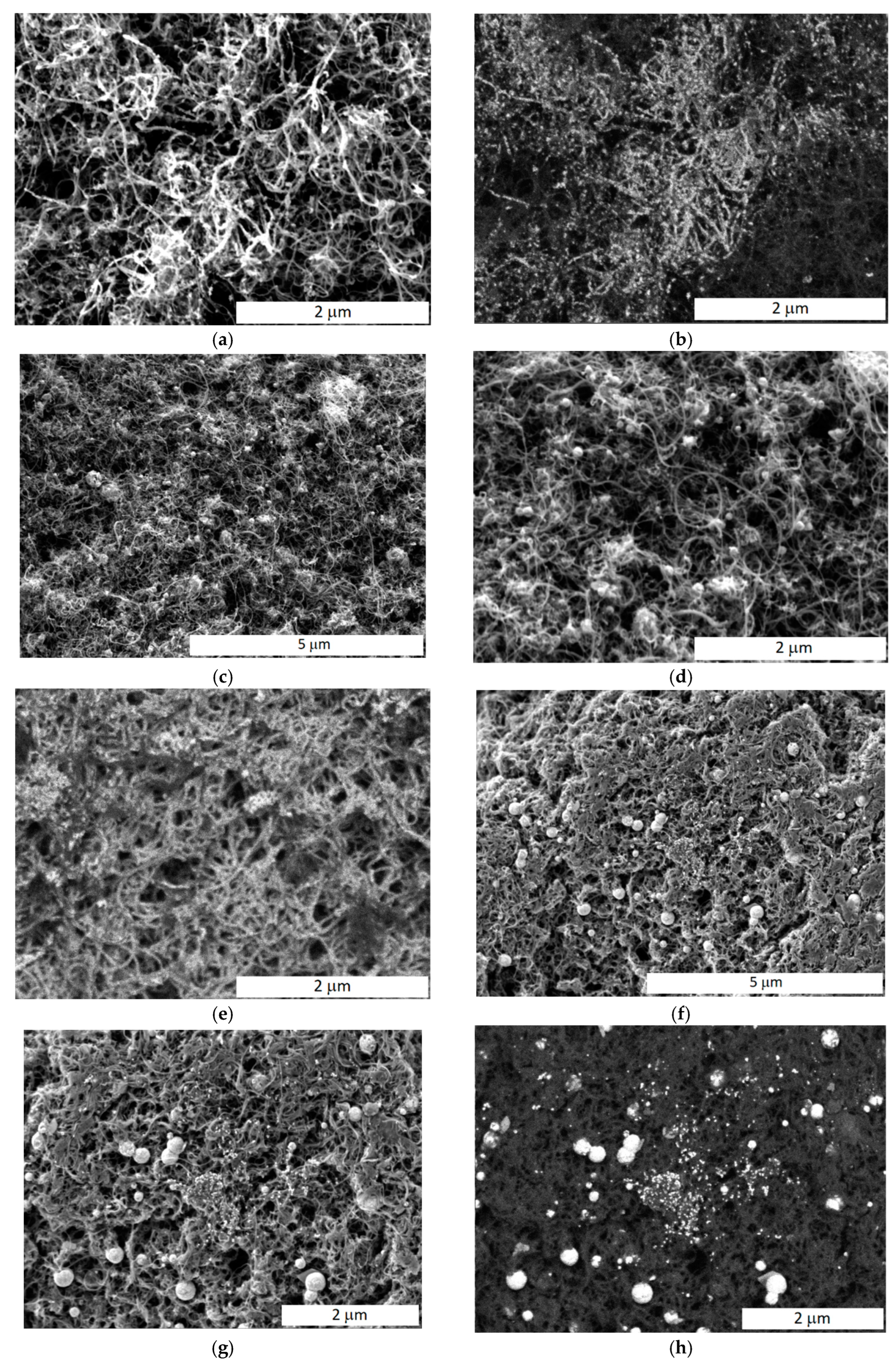 Membranes 13 00669 g003 Membranes 13 00669 g003