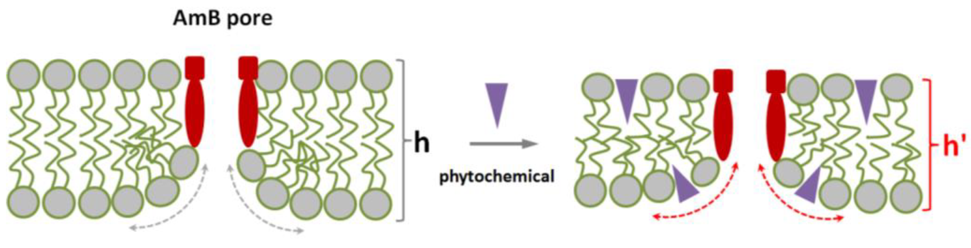 Membranes 13 00670 g006 Membranes 13 00670 g006