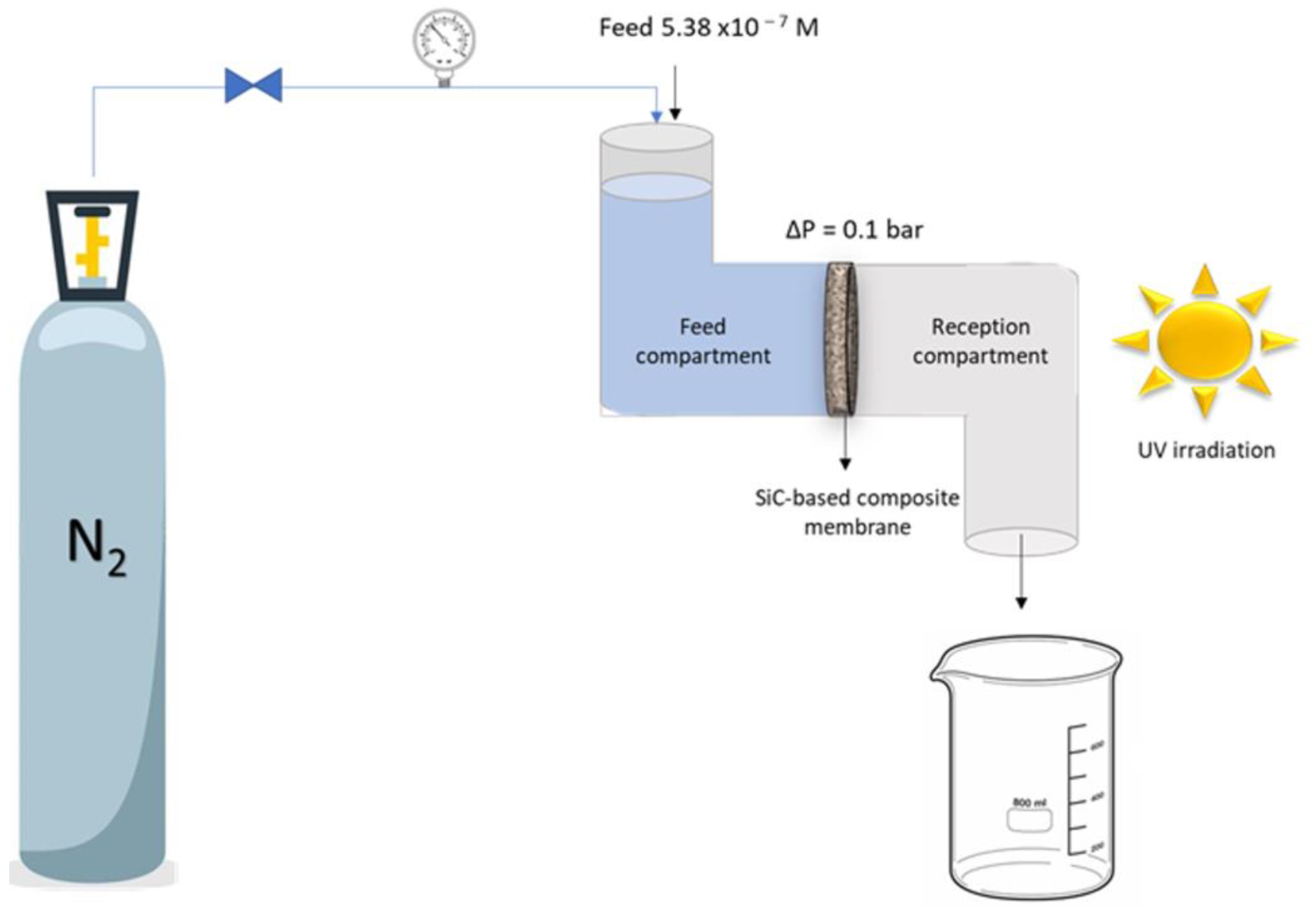 Membranes 13 00672 g003 Membranes 13 00672 g003