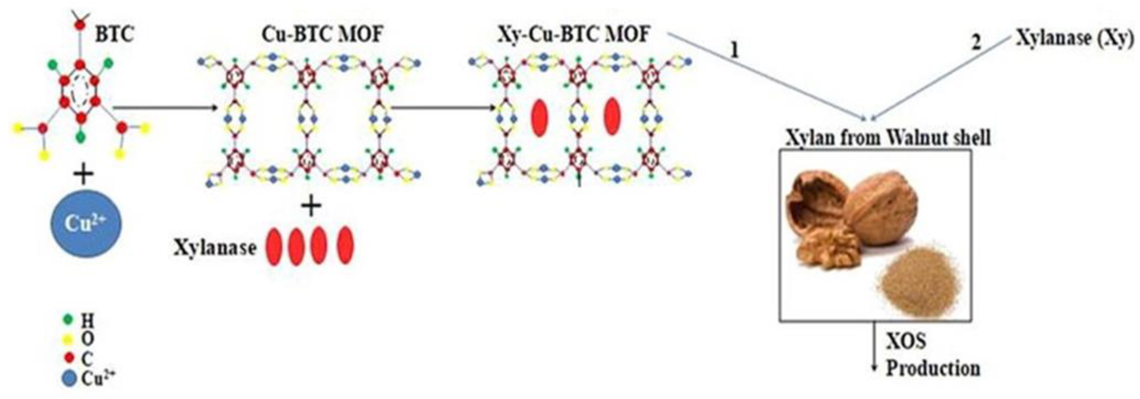 Membranes 13 00673 g002 Membranes 13 00673 g002