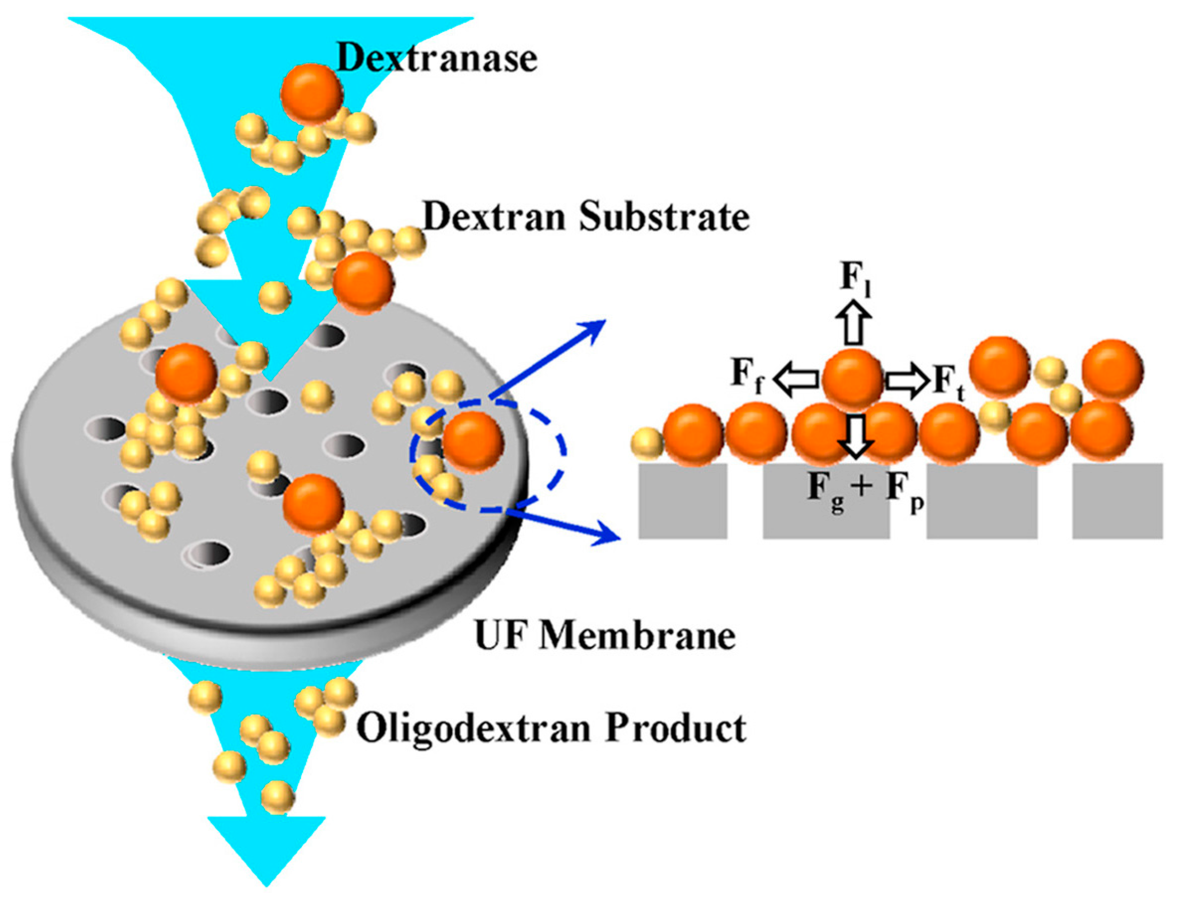 Membranes 13 00673 g004 Membranes 13 00673 g004