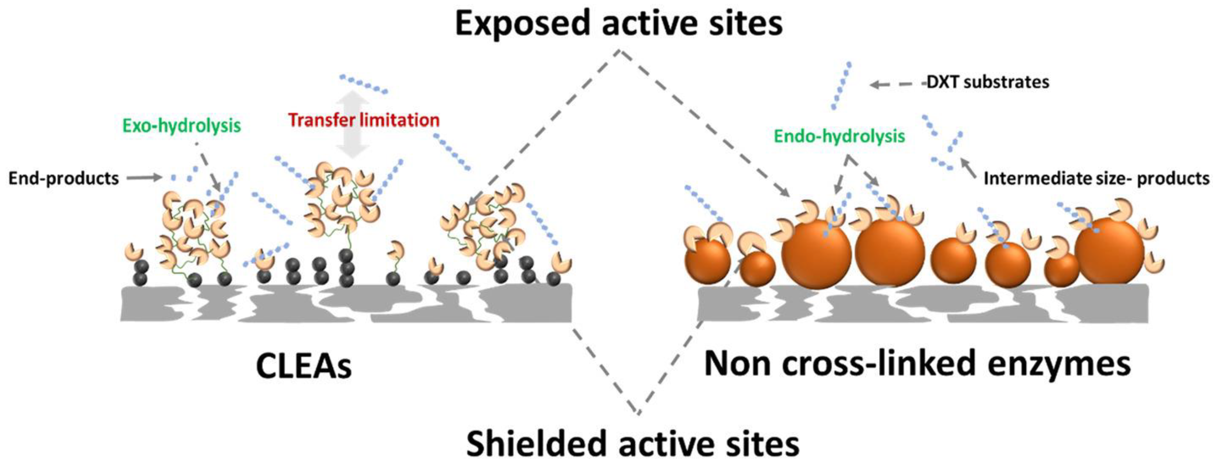 Membranes 13 00673 g005 Membranes 13 00673 g005