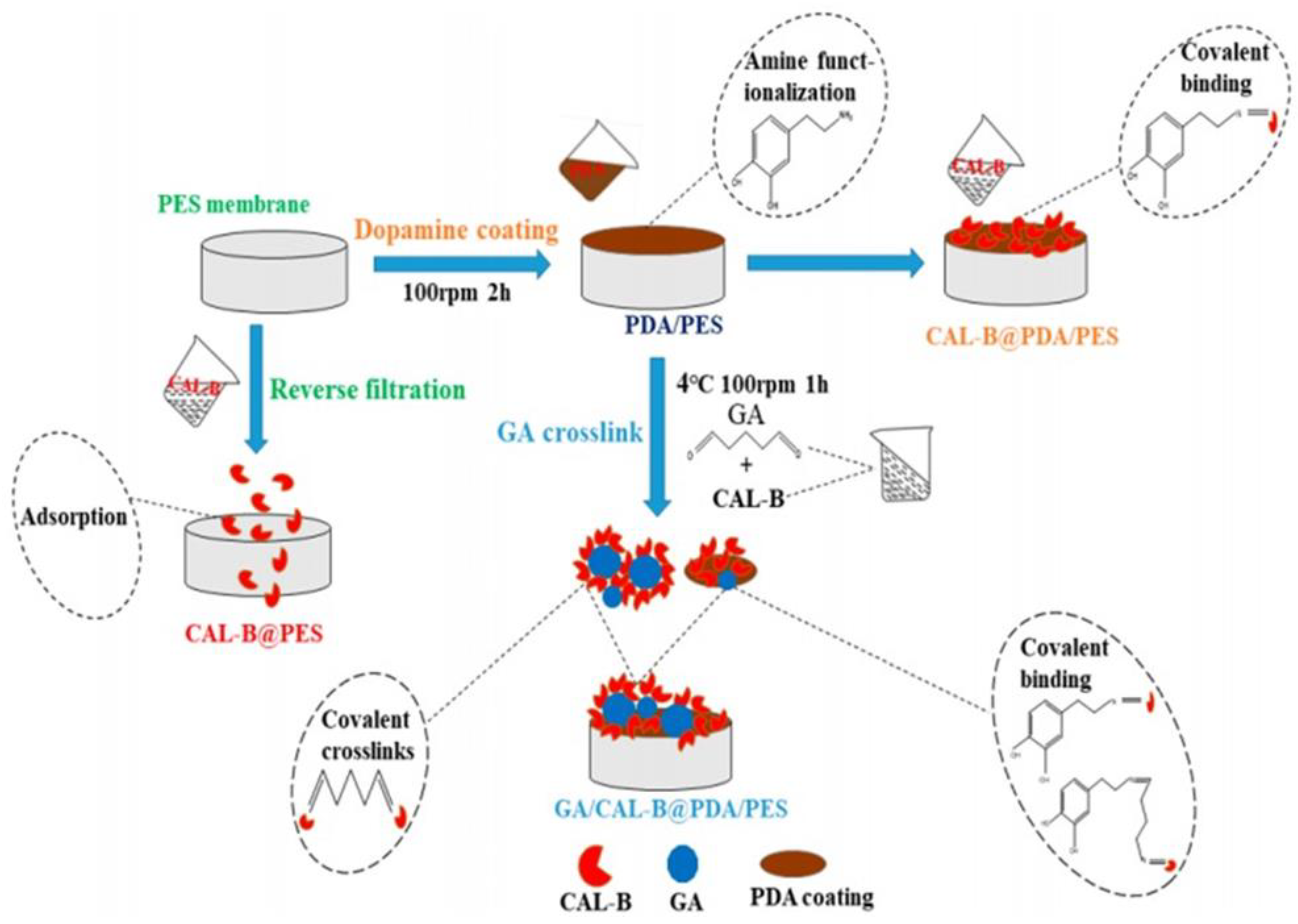 Membranes 13 00673 g010 Membranes 13 00673 g010