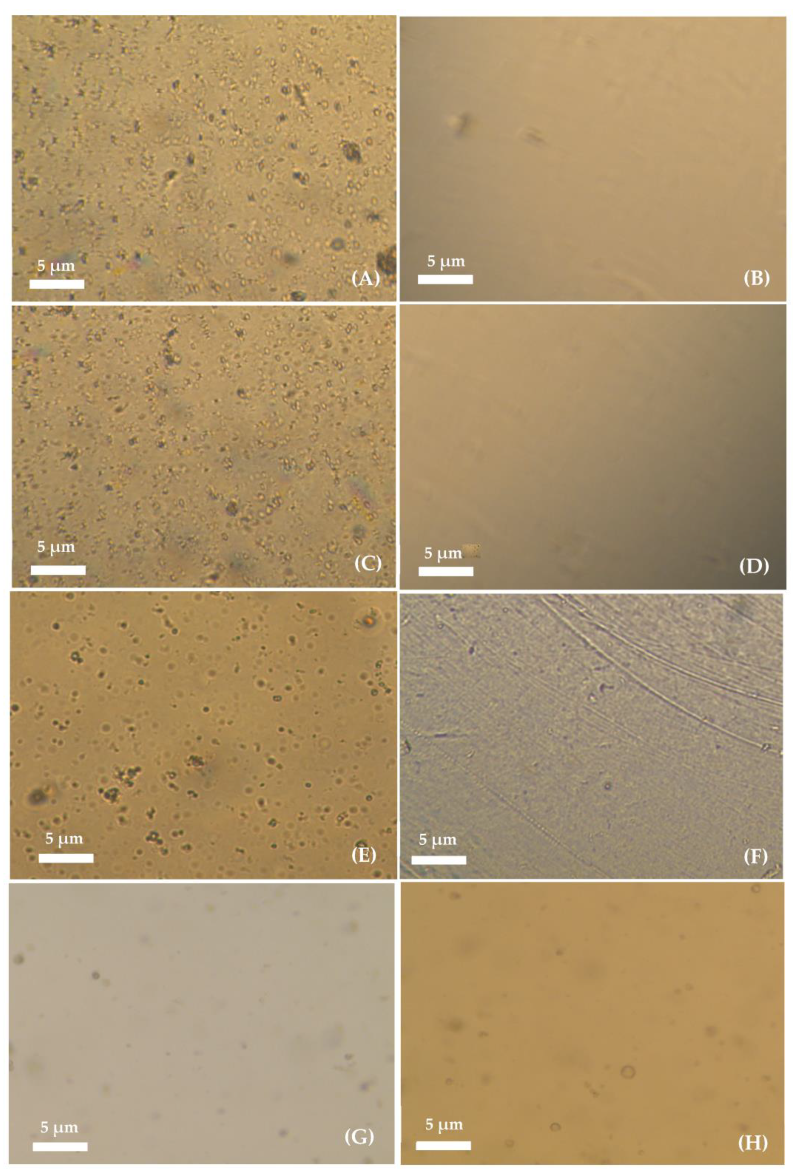Membranes 13 00674 g003 Membranes 13 00674 g003