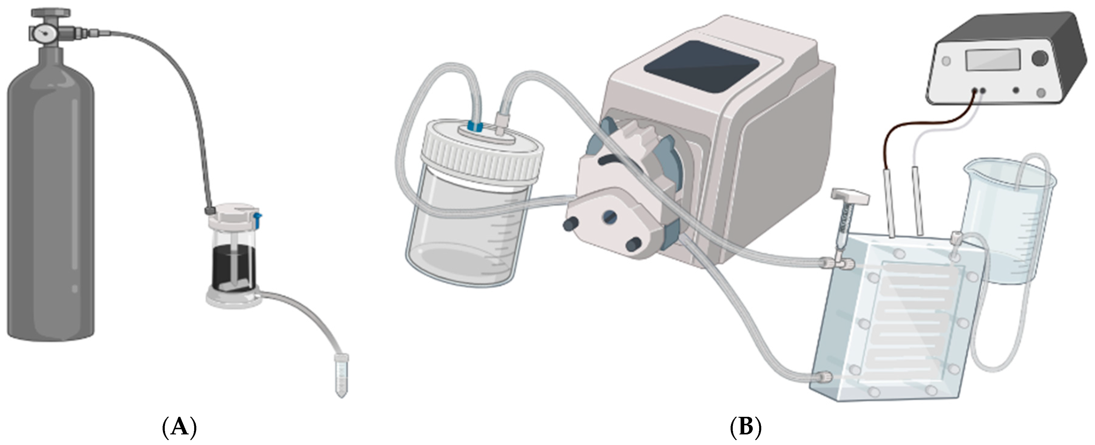 Membranes 13 00675 g001
