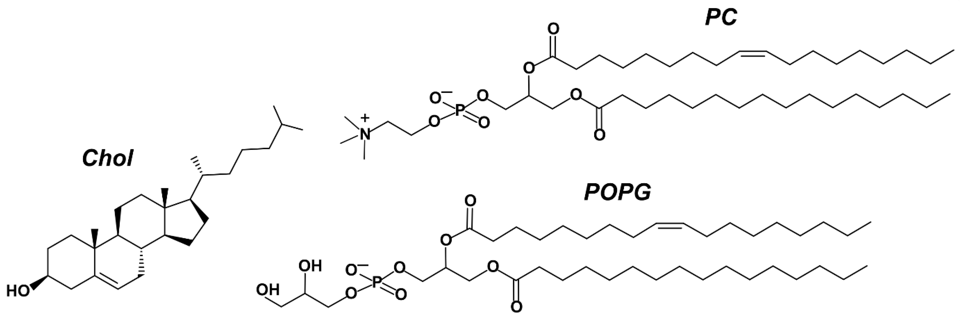 Membranes 13 00681 g001