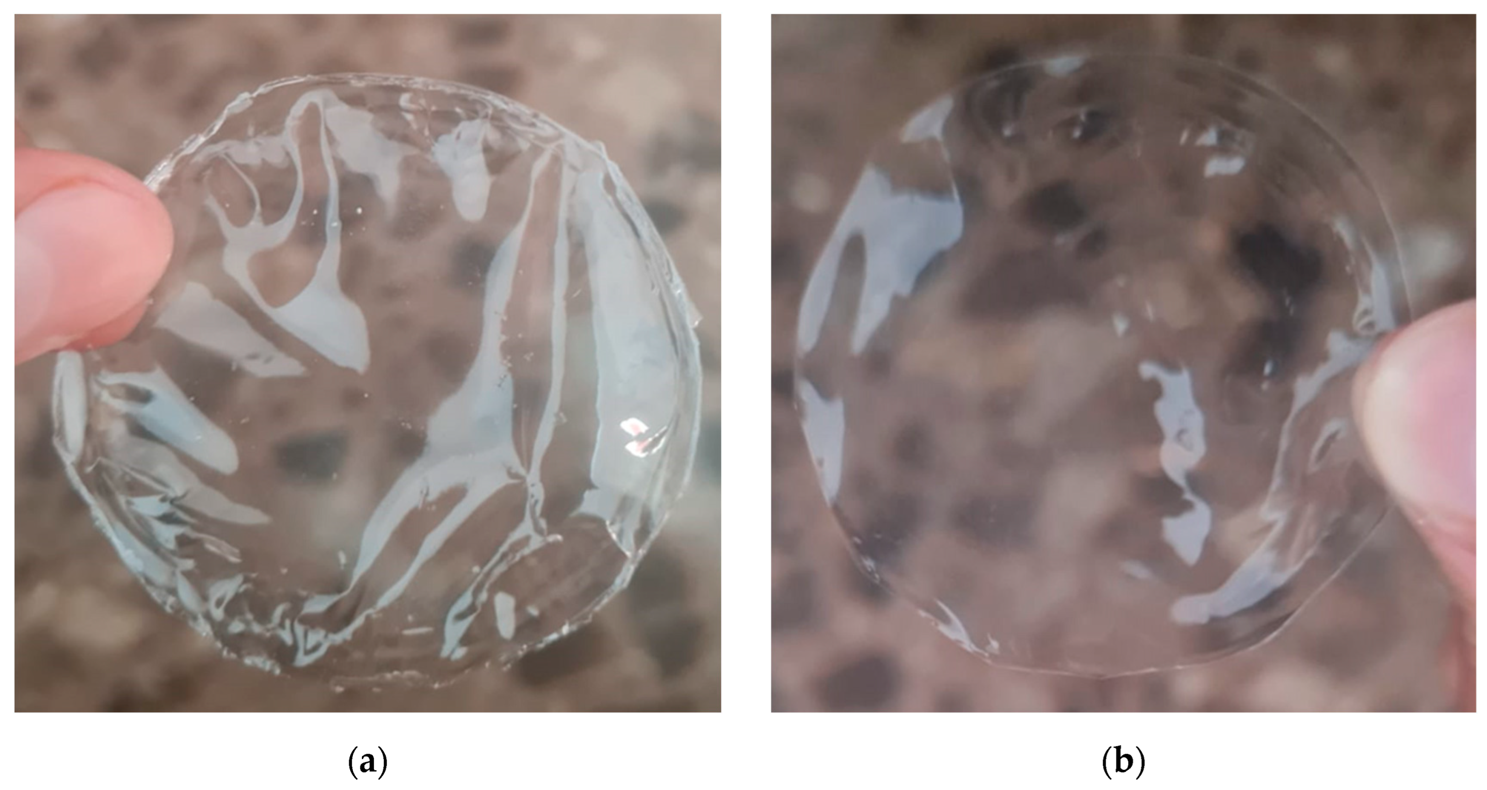 Membranes 13 00684 g001 Membranes 13 00684 g001