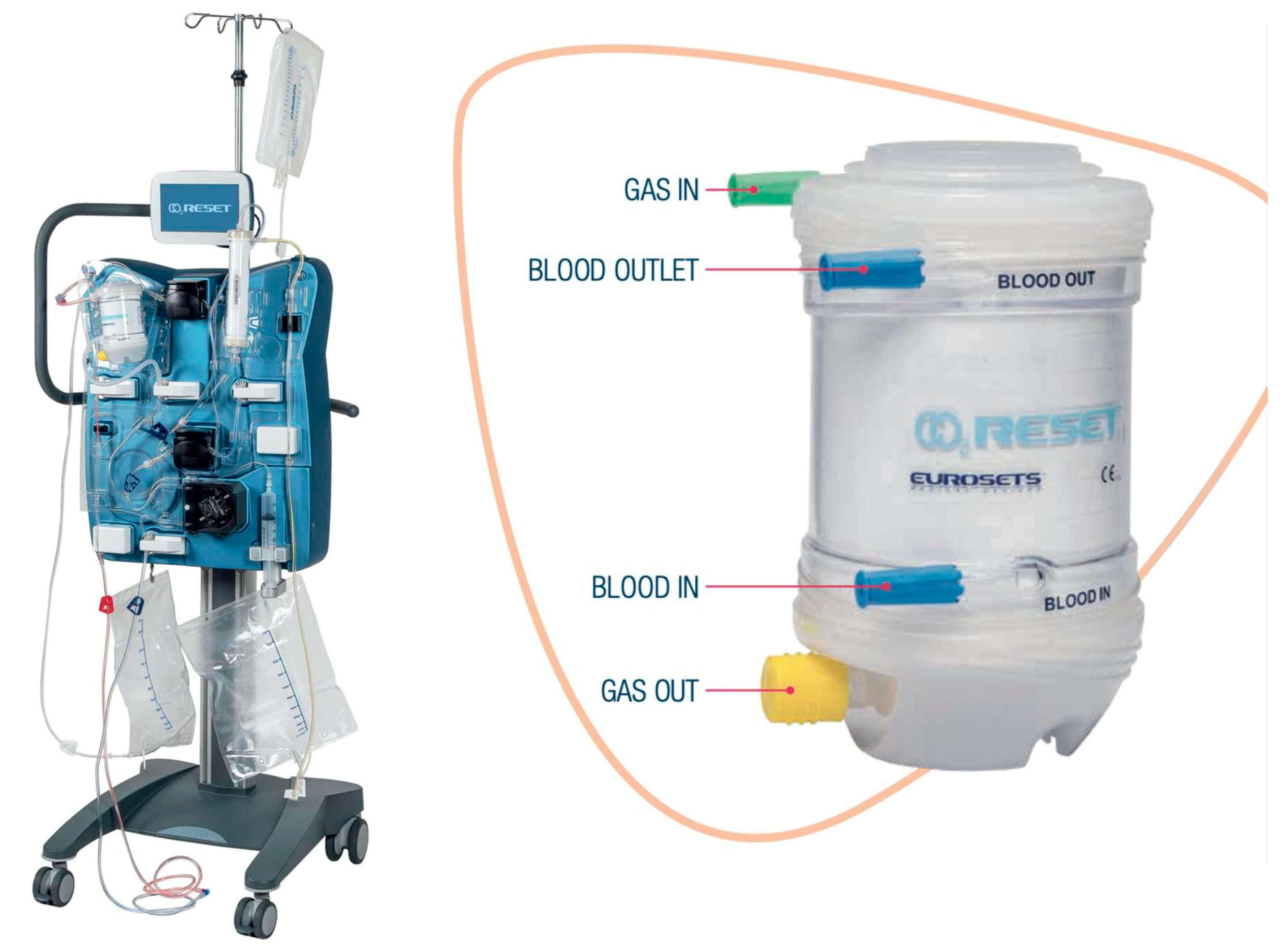 Membranes 13 00686 g001 Membranes 13 00686 g001
