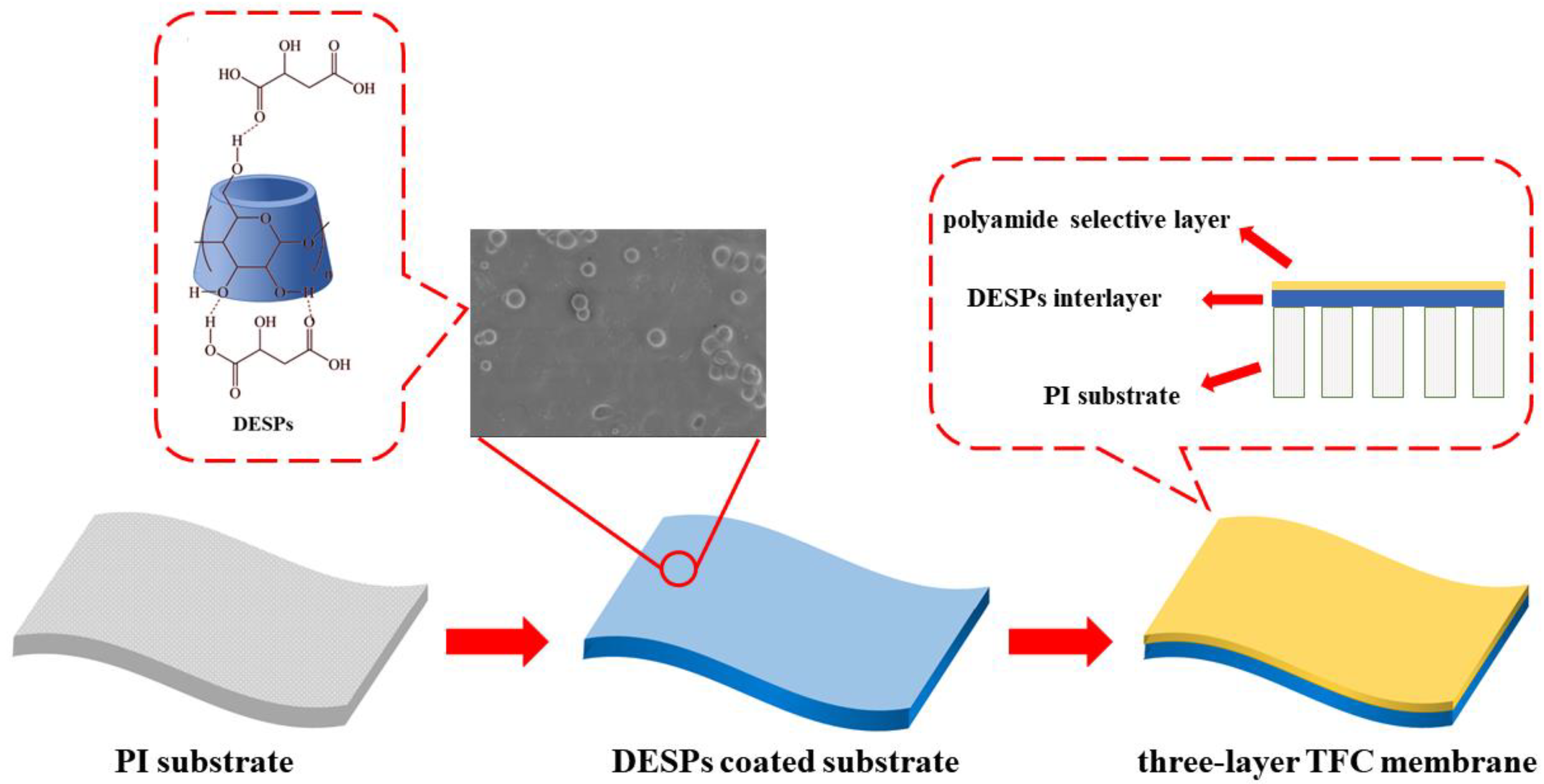 Membranes 13 00688 g001