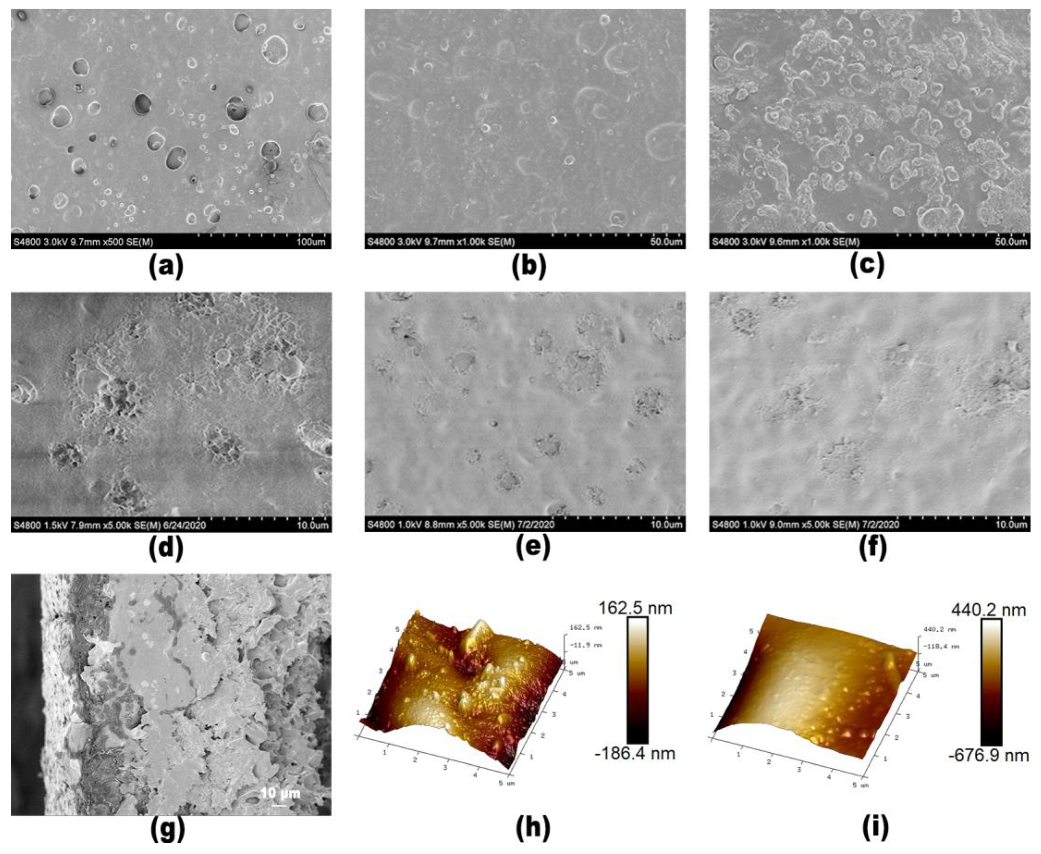 Membranes 13 00688 g003