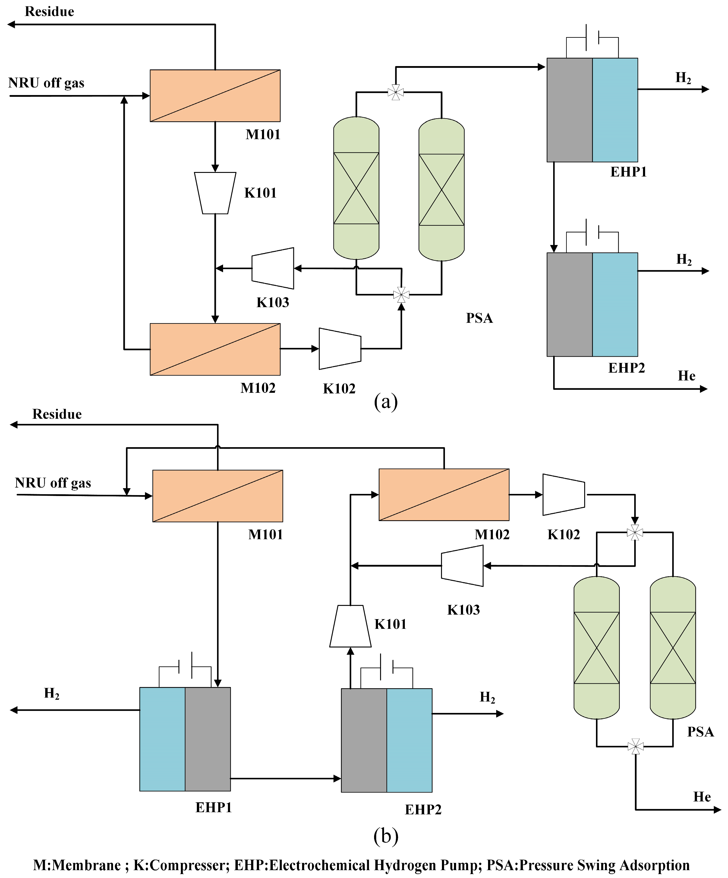 Membranes 13 00689 g001