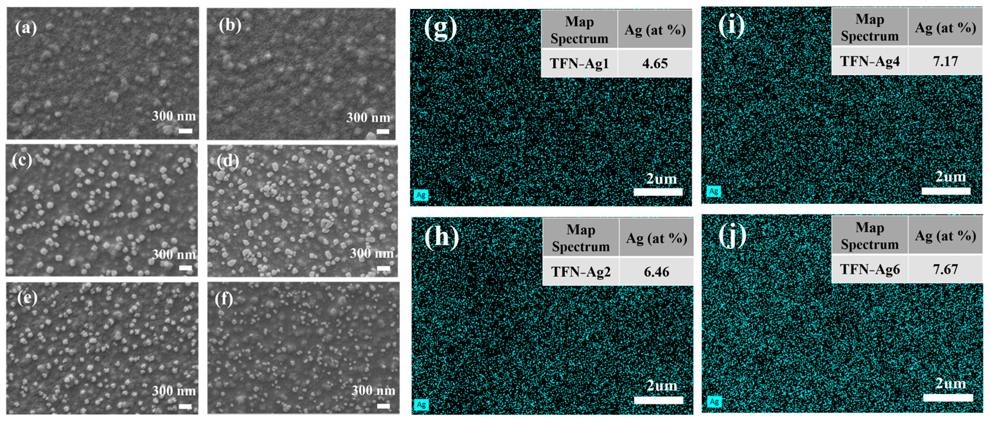 Membranes 13 00693 g004 Membranes 13 00693 g004